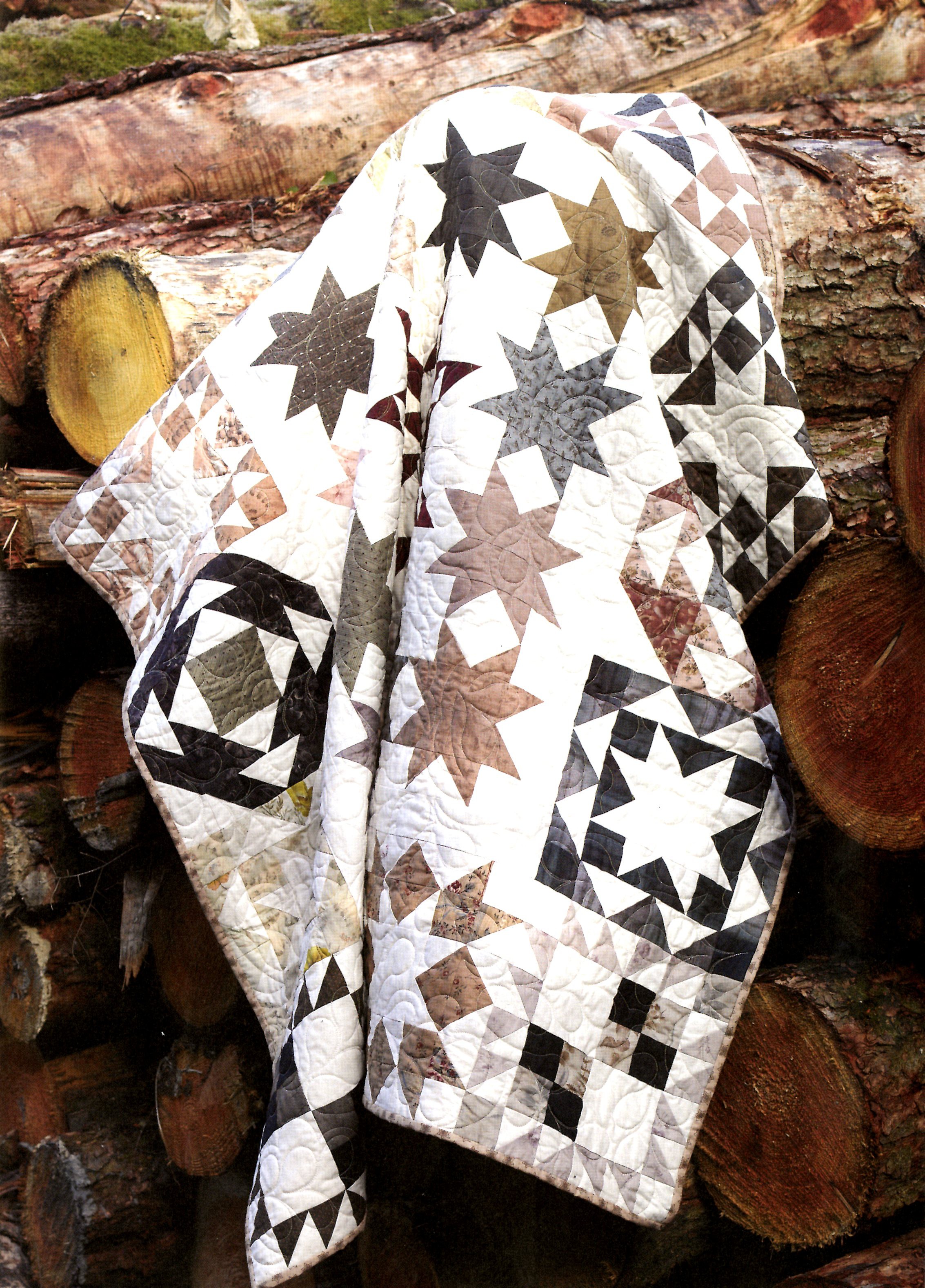 Jelly Roll Sampler Quilts By Lintott, Pam & Lintott, Nicky