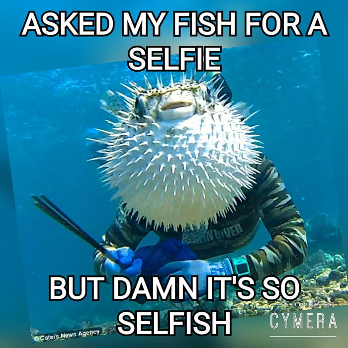 Most selfish fish ever! 9GAG