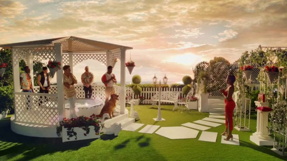 MilkBone TV Spot, 'Less Fake Love, More Dog' iSpot.tv