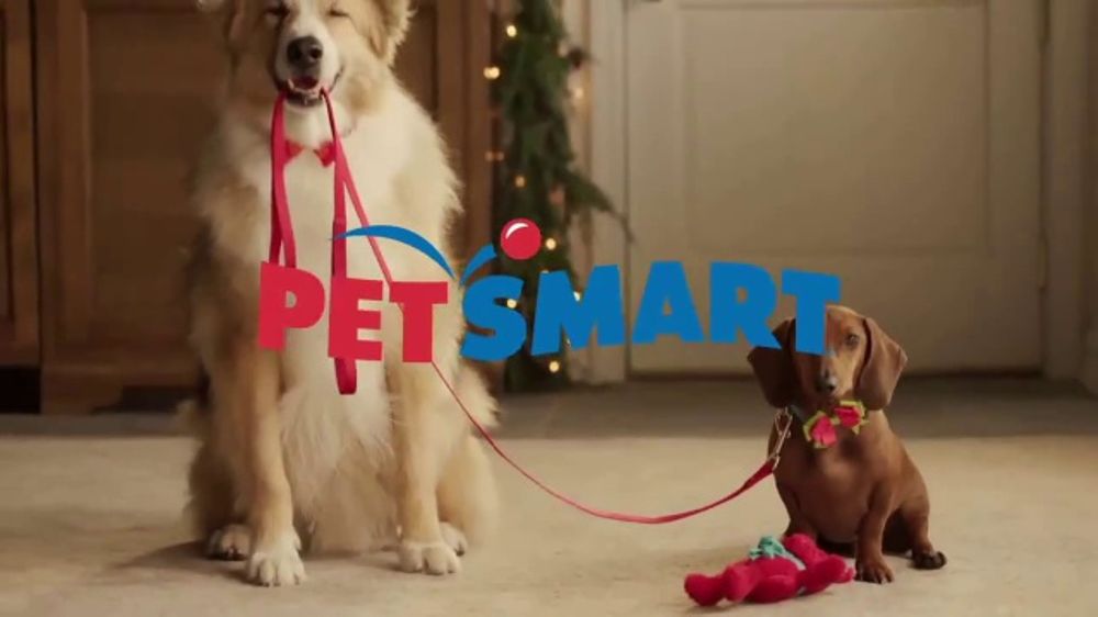 Petsmart Events 2023 PetSmart TV Spot, 'Dachshund Holidays 50 Off' Song by Queen iSpot.tv
