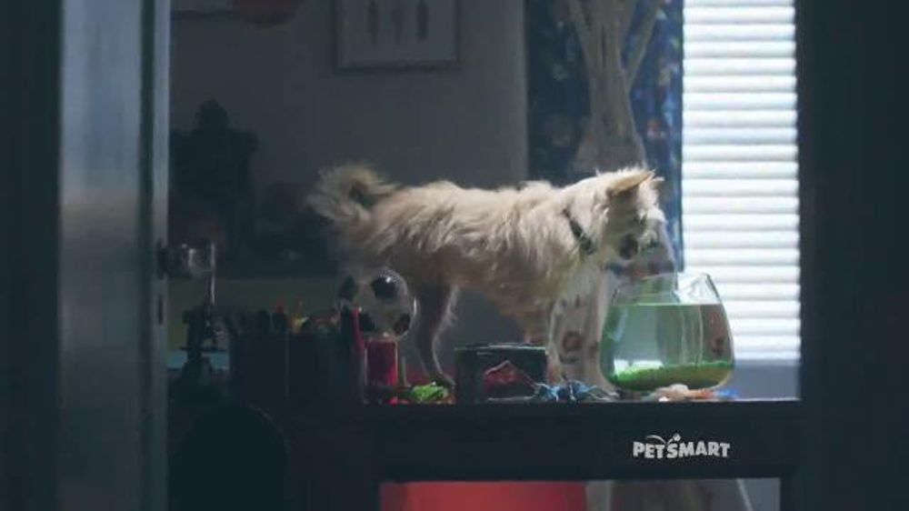 Petsmart Events 2023 PetSmart November Weekend Sale TV Spot, 'Pet Holiday Treats' Song by