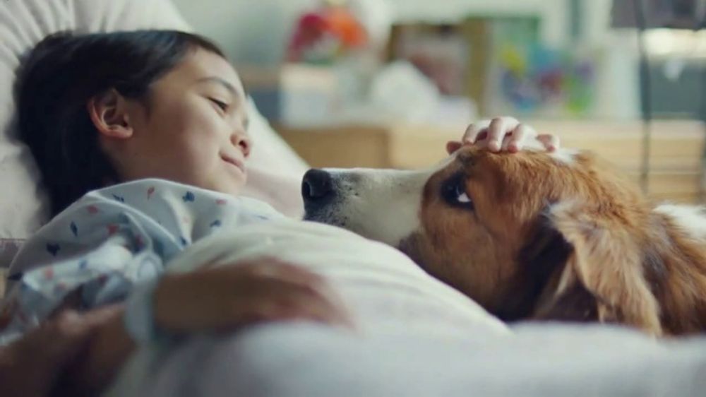 Pedigree TV Spot, 'Therapy' iSpot.tv
