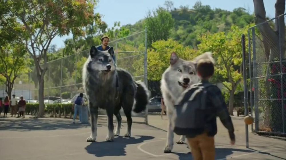 Great Wolf Lodge TV Spot, 'The Great Wolves Have Arrived' iSpot.tv