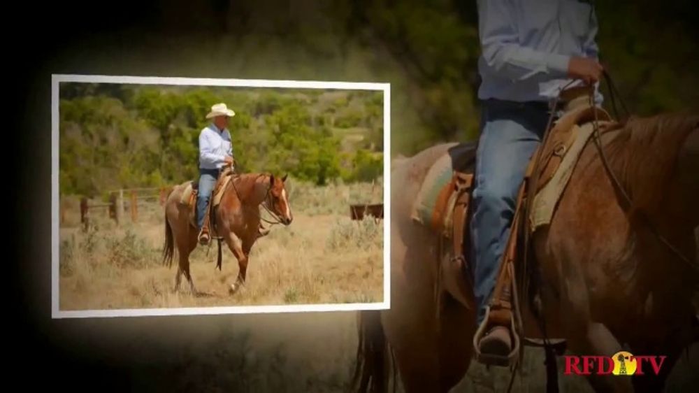 WYO Quarter Horse Sale TV Spot, 'What You're Looking For' iSpot.tv