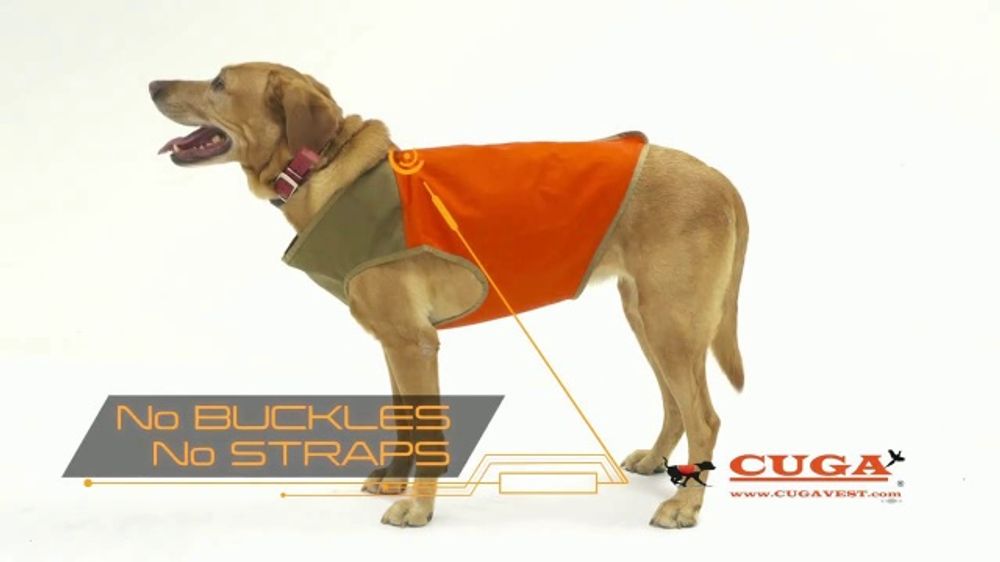 Cuga Dog Vest Discounted Prices gbupresnenskij.ru