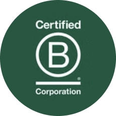 Danielle Bikini White Crotchless Bikini, L-XL | Adore Me