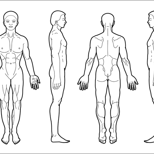 Body Diagram for Professional Massage Chart front, back