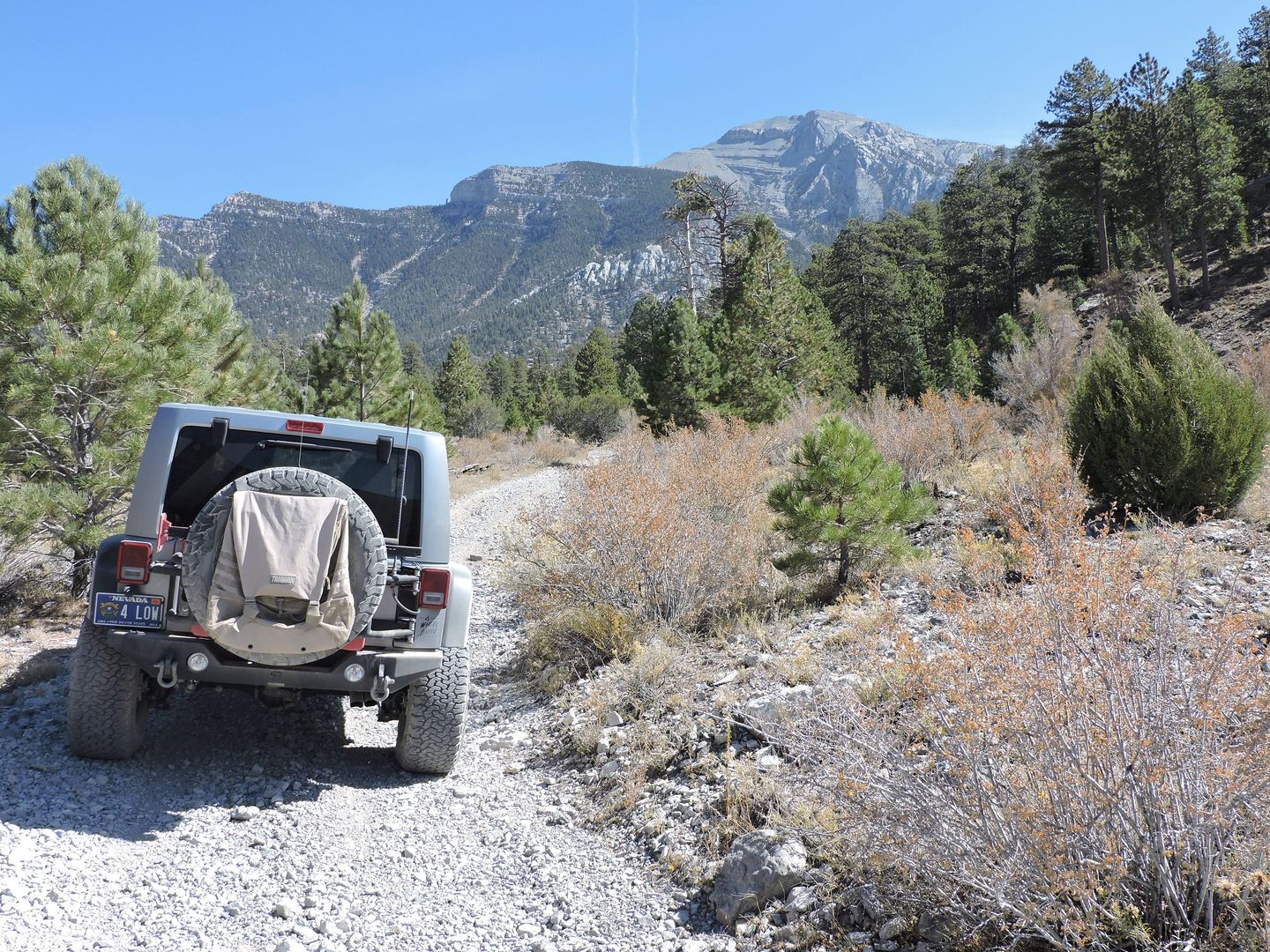 Wallace Canyon Road Nevada Offroad Trail