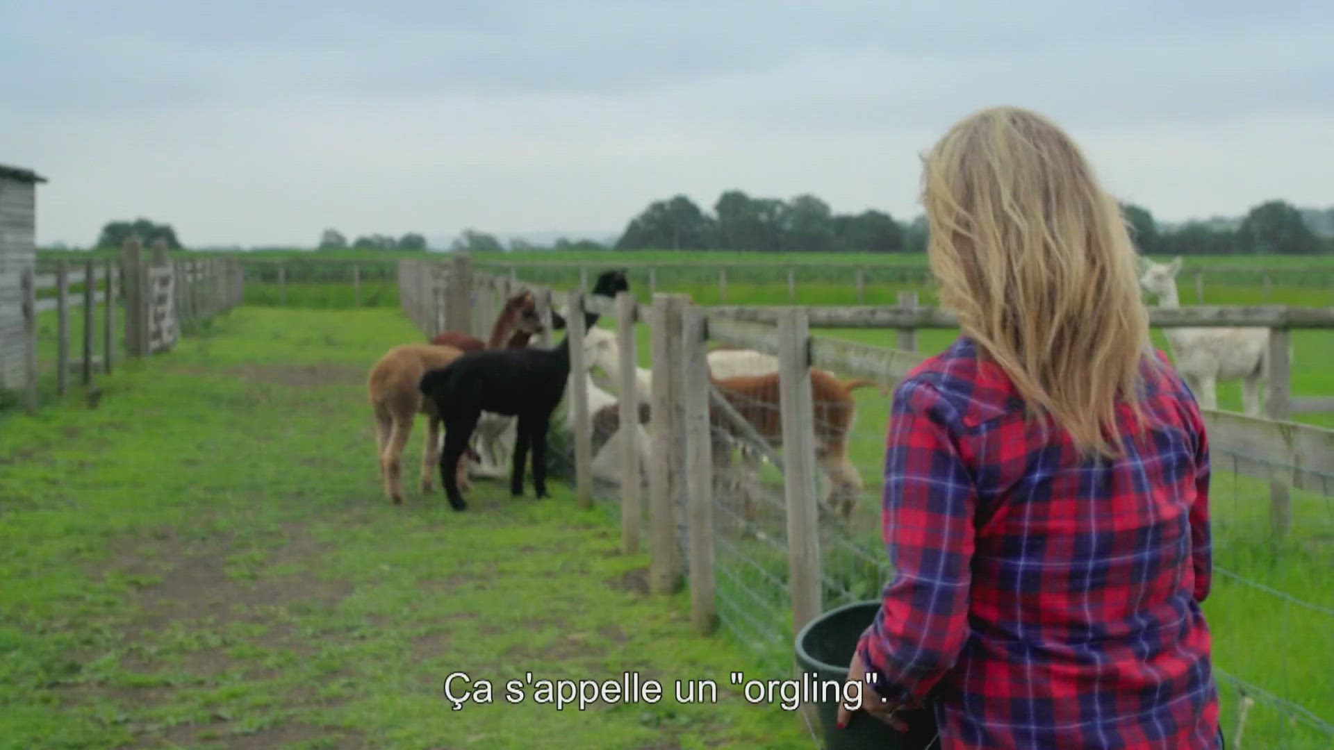 La nouvelle vie de Sarah Beeny à la campagne S1 E7 Le début de la