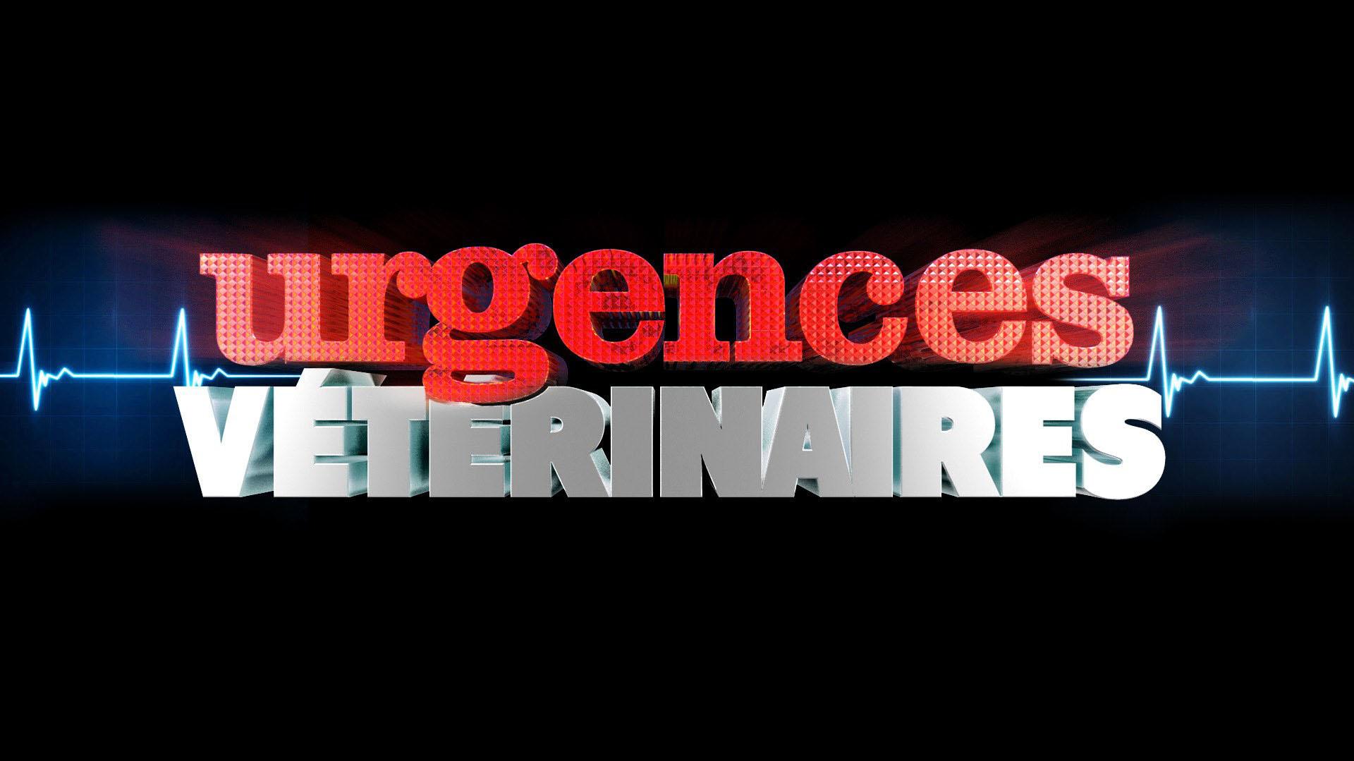 Urgences Vétérinaires sur 6play voir les épisodes en streaming