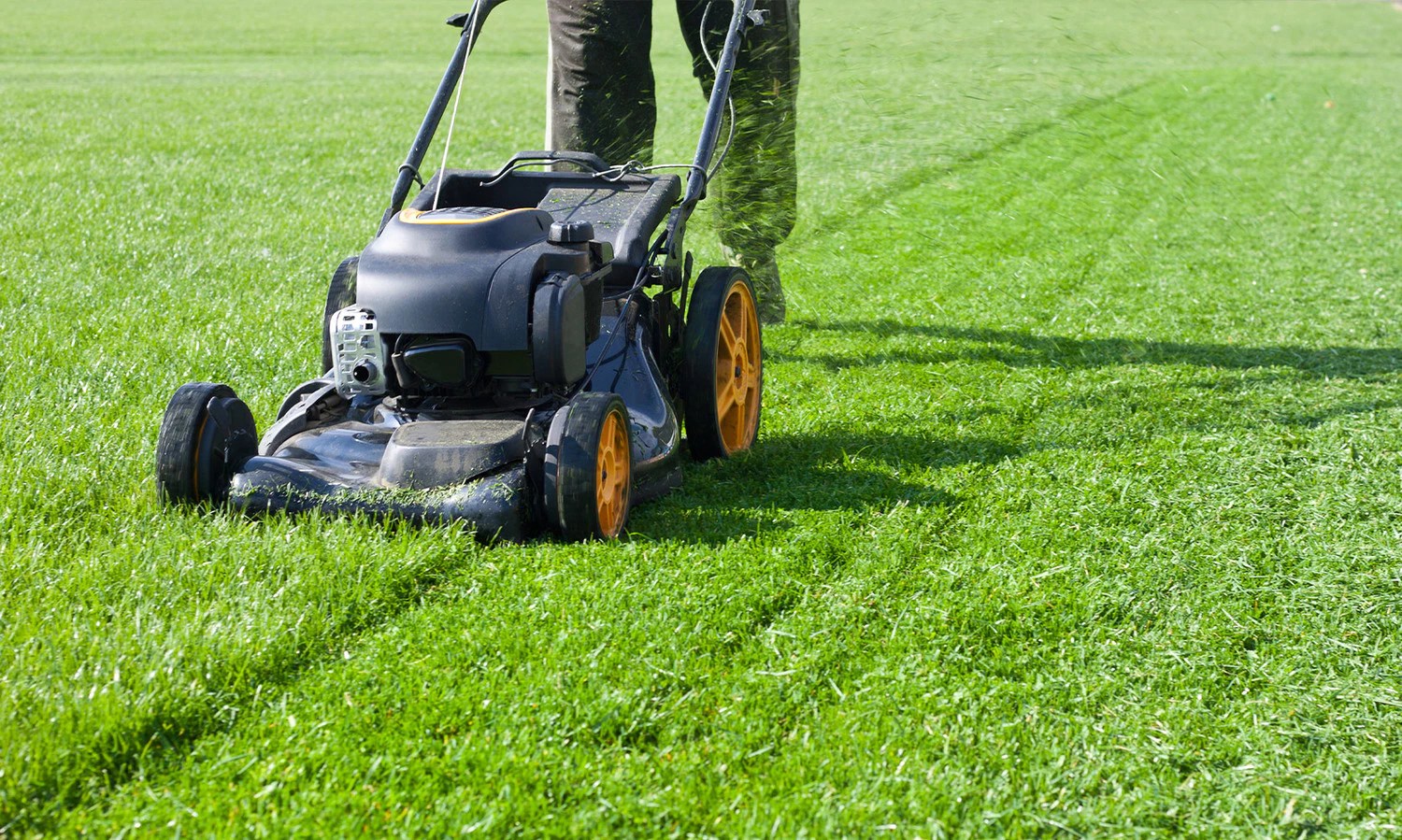 Top 10 Best Lawn Maintenance in Brisbane Airtasker AU