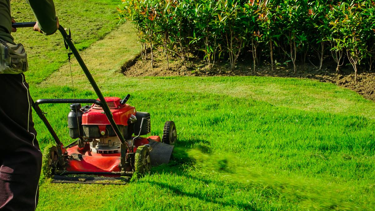 Find Expert Lawn Mower Repairs near you | Airtasker AU