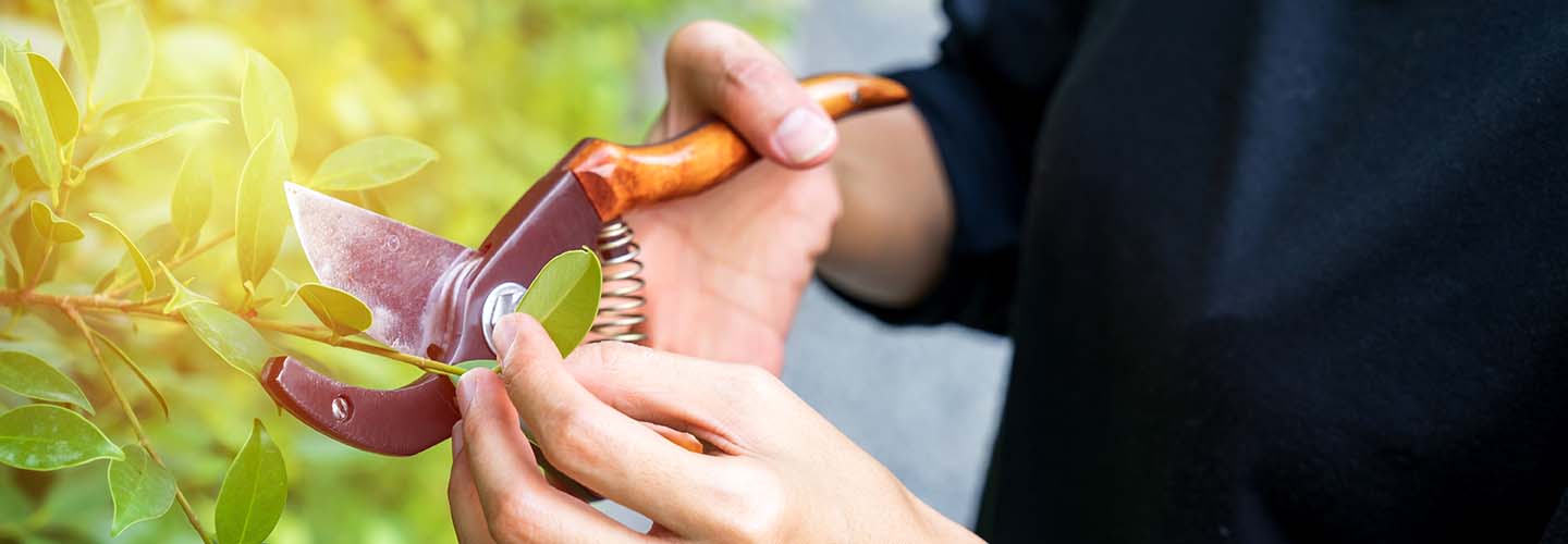 Find Garden Tool Repair Services near you | Airtasker UK