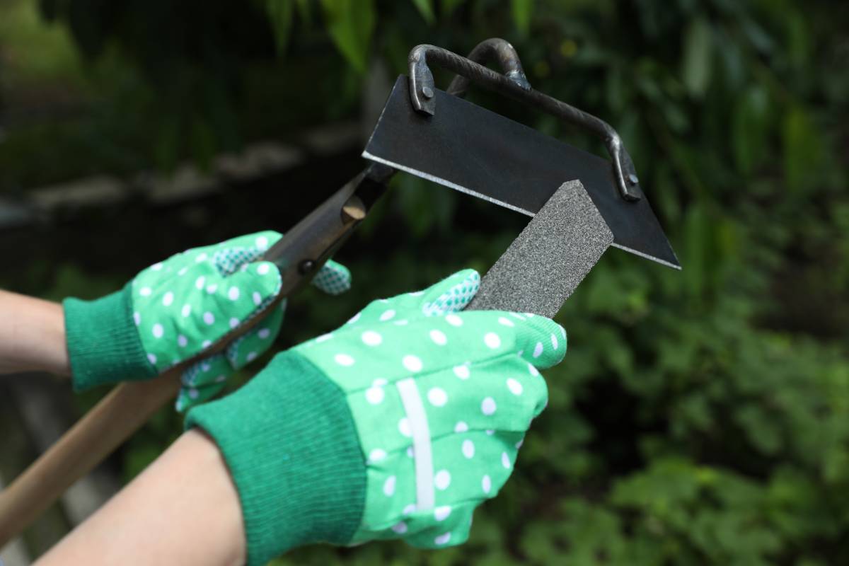 Top 10 Best Garden Tool Sharpening Experts near you Airtasker US