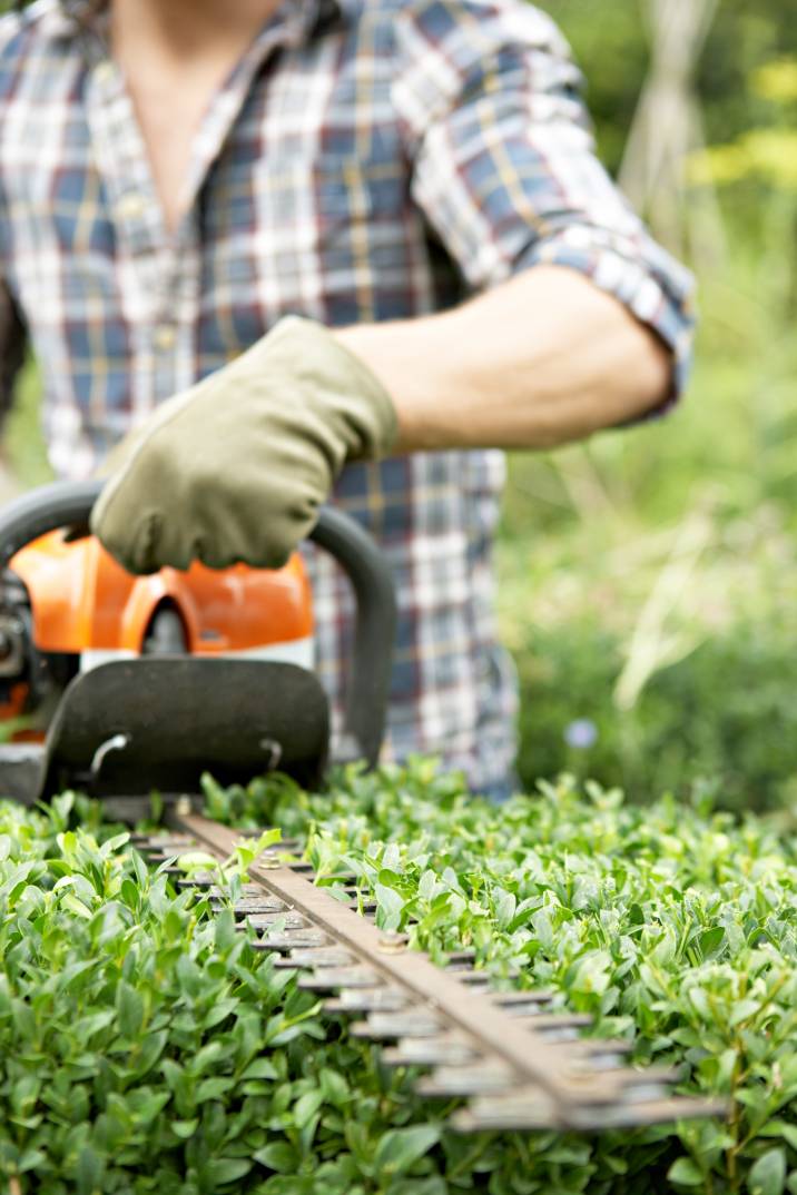 Garden Maintenance Cost Guide Airtasker AU