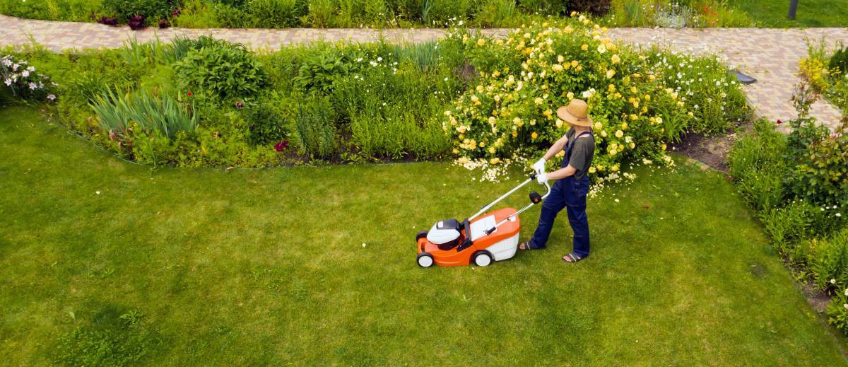 Lawn Mower Repair Cost Guide Airtasker AU