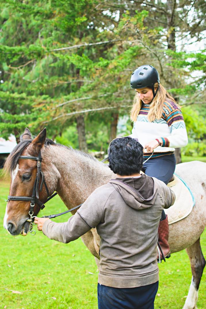 Horseback Riding Lesson Cost Guide Airtasker US