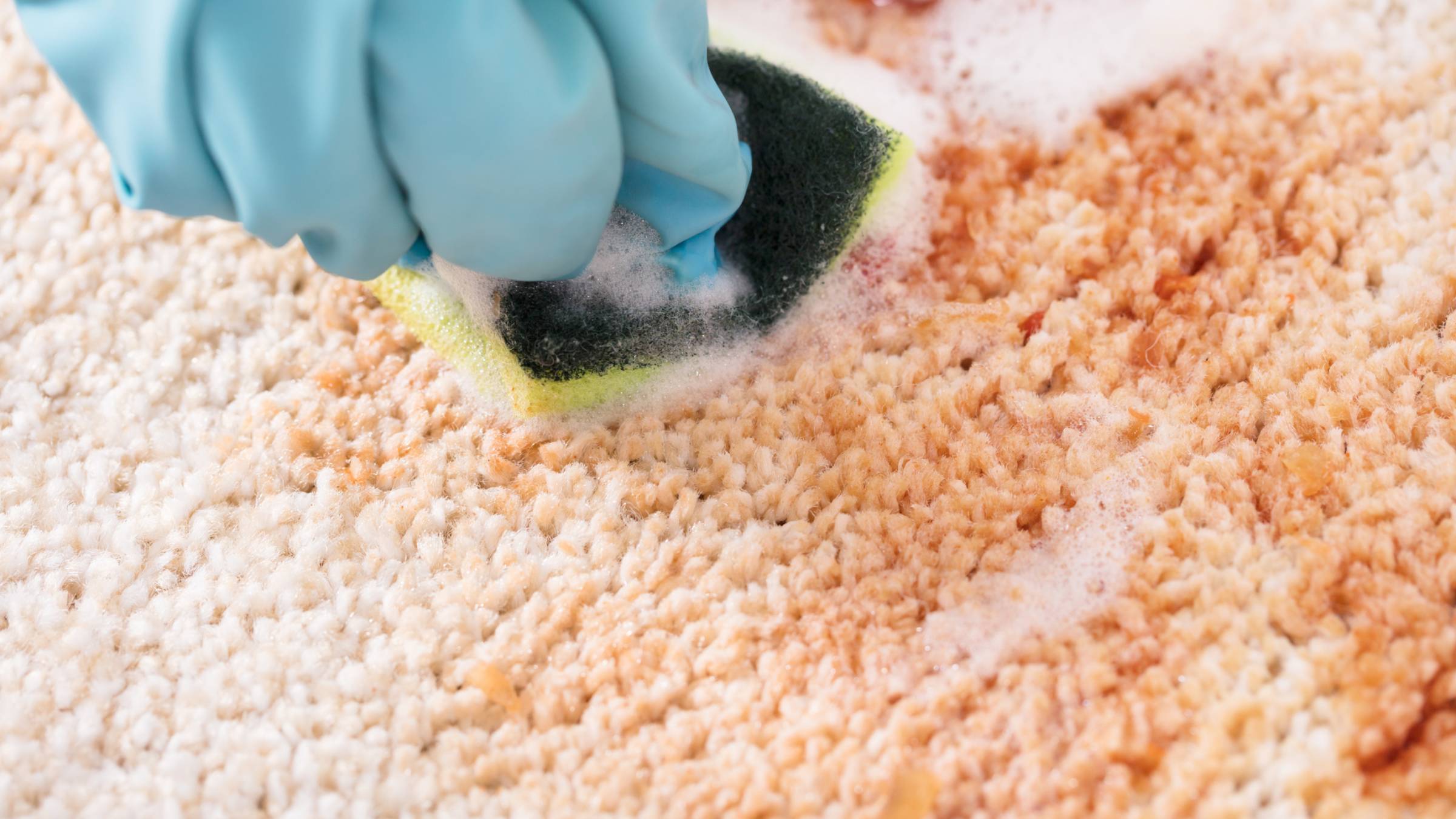 How Much Does It Cost to Clean Carpets? Airtasker AU