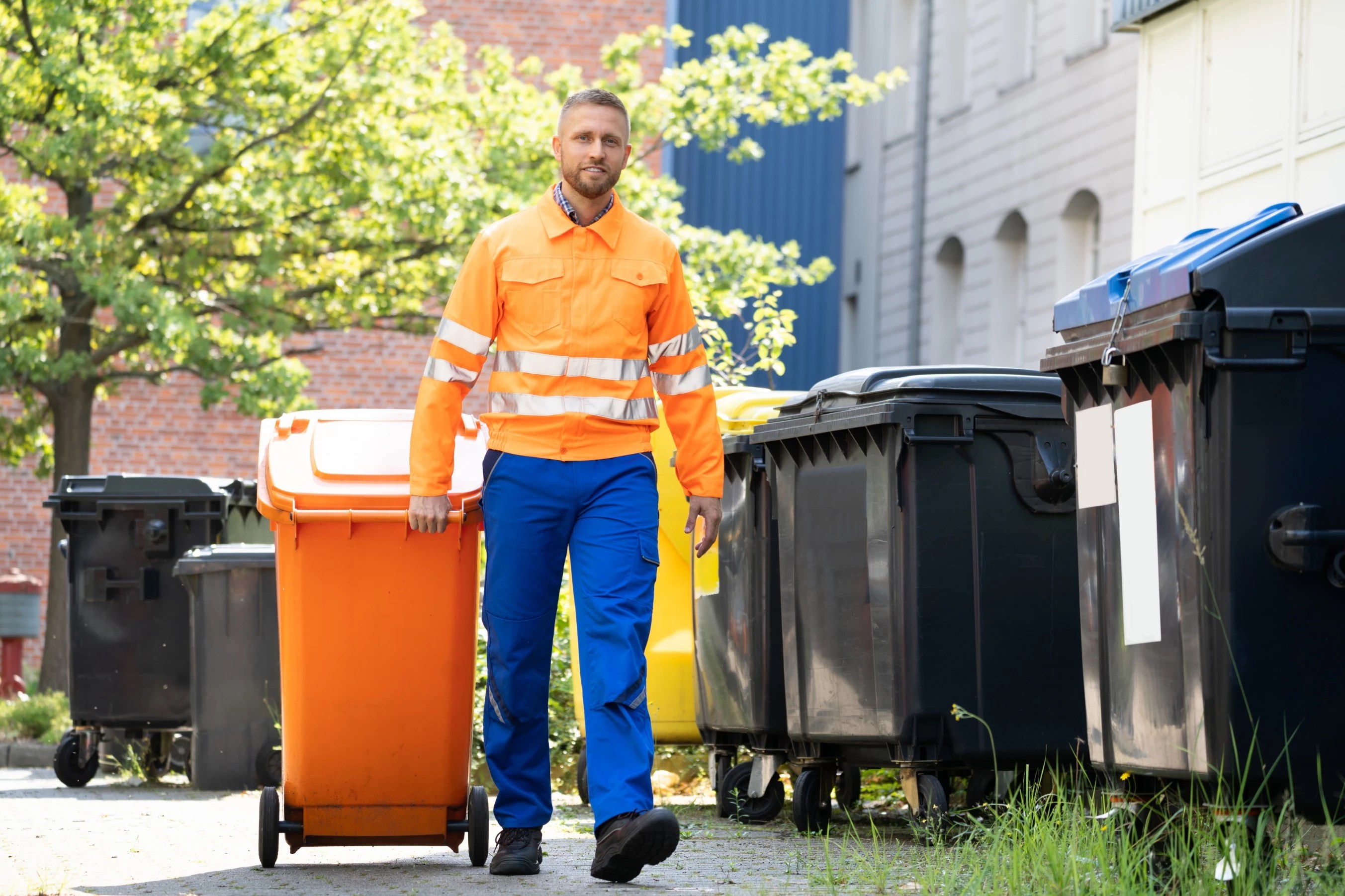 Household Waste Collection & Disposal Services near you Airtasker AU