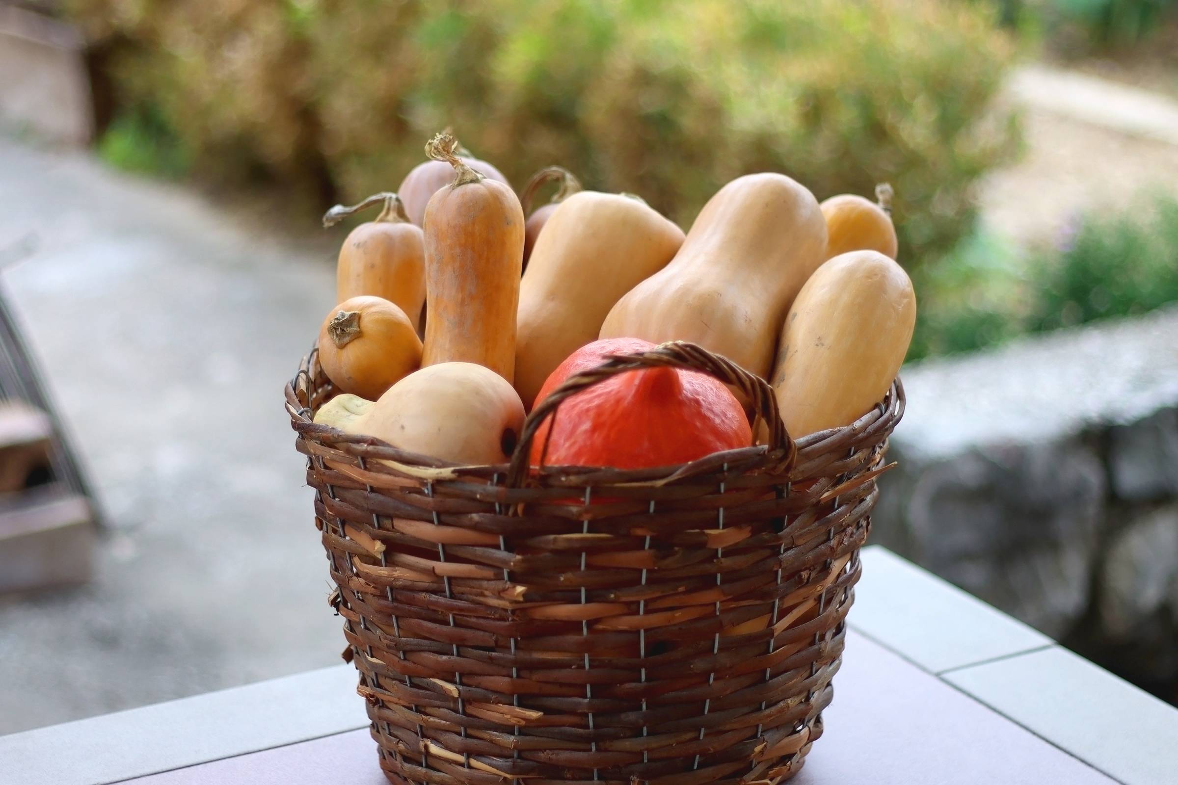 Butternut Squash vs Pumpkin Airtasker UK