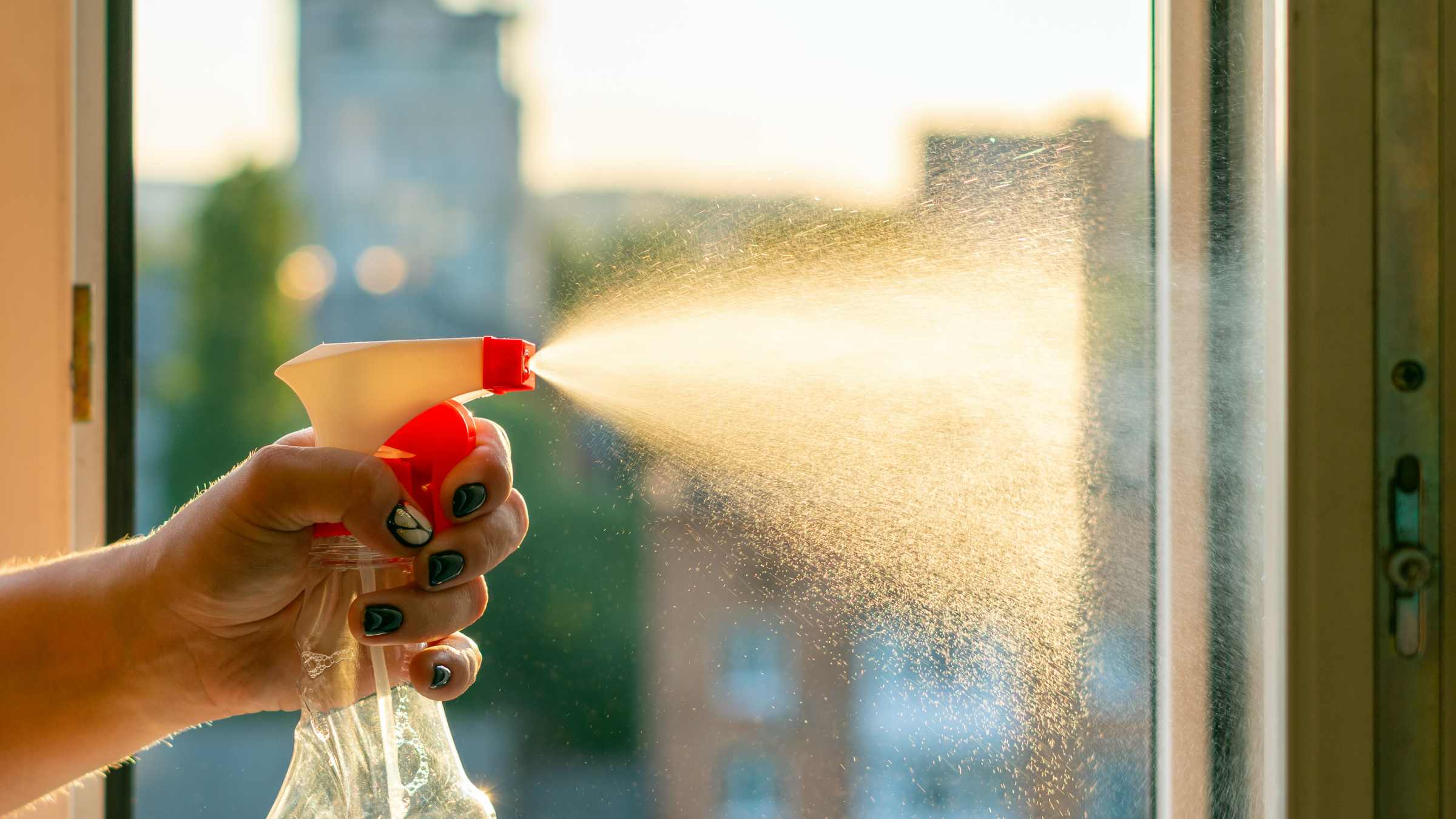 White Wine Vinegar vs White Vinegar Which Cleans Better? Airtasker UK