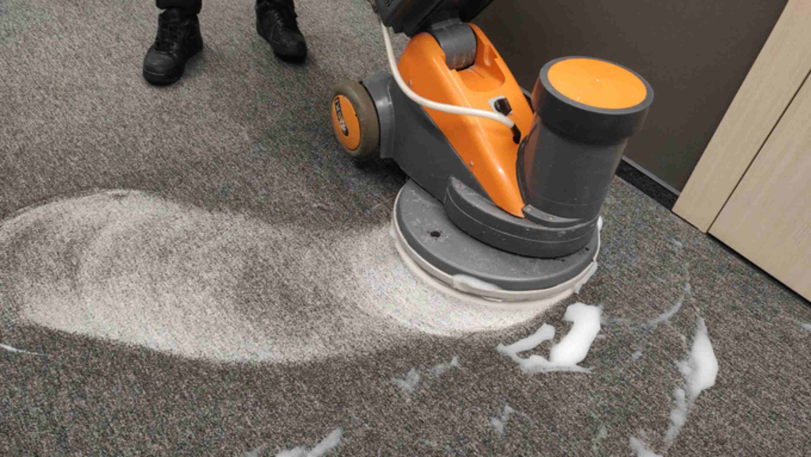 Steam Cleaning Carpets vs Shampooing Airtasker UK