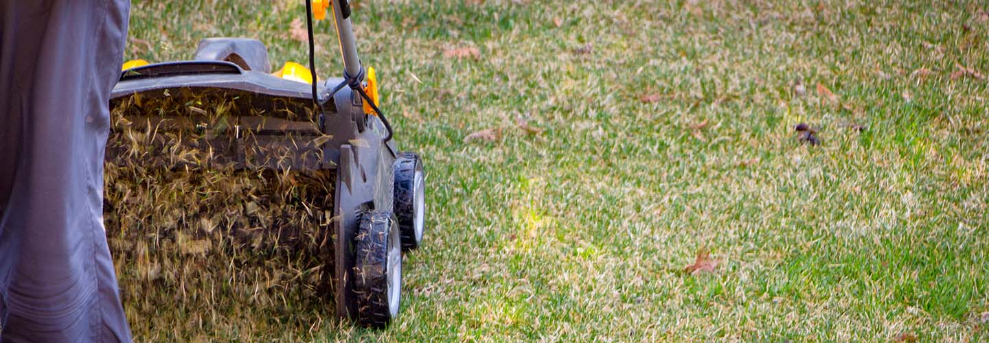 Top 10 Best Lawn Aeration Hire near you Airtasker UK