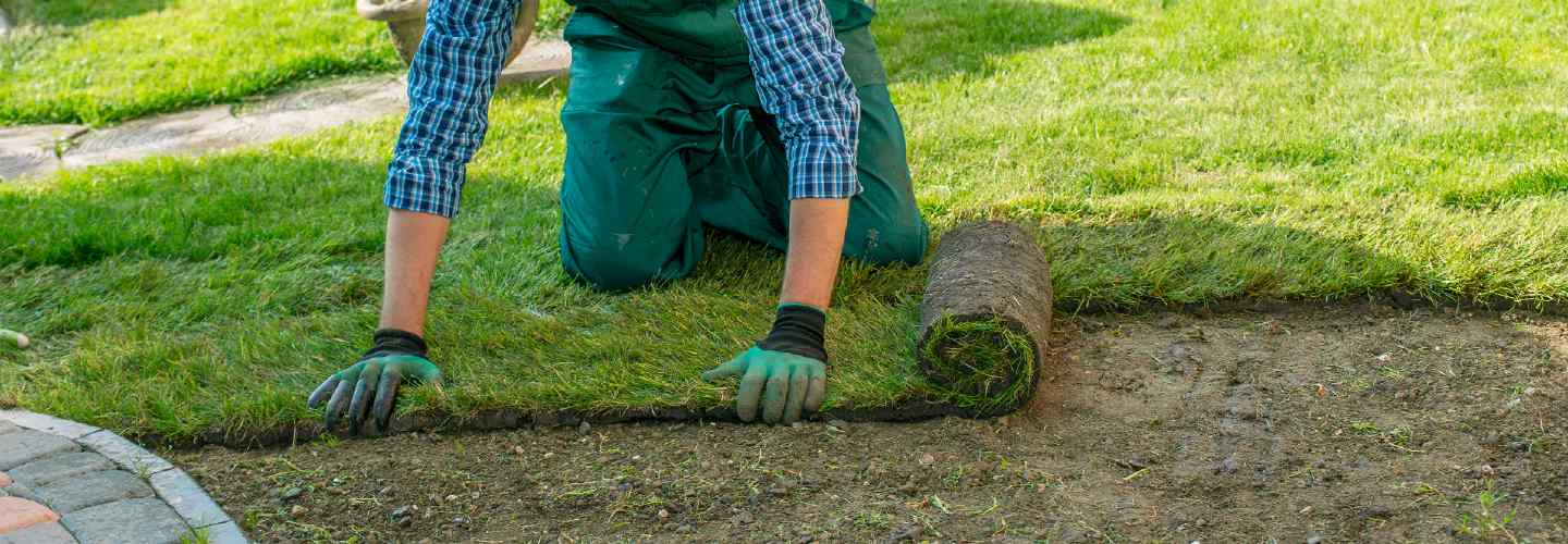 Top 10 Best Rated Lawn Mower Repairers near you | Airtasker UK