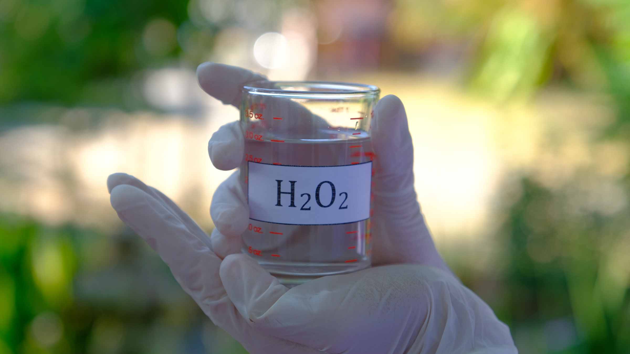 Hydrogen Peroxide vs. Bleach Which is Better for Cleaning? Airtasker US