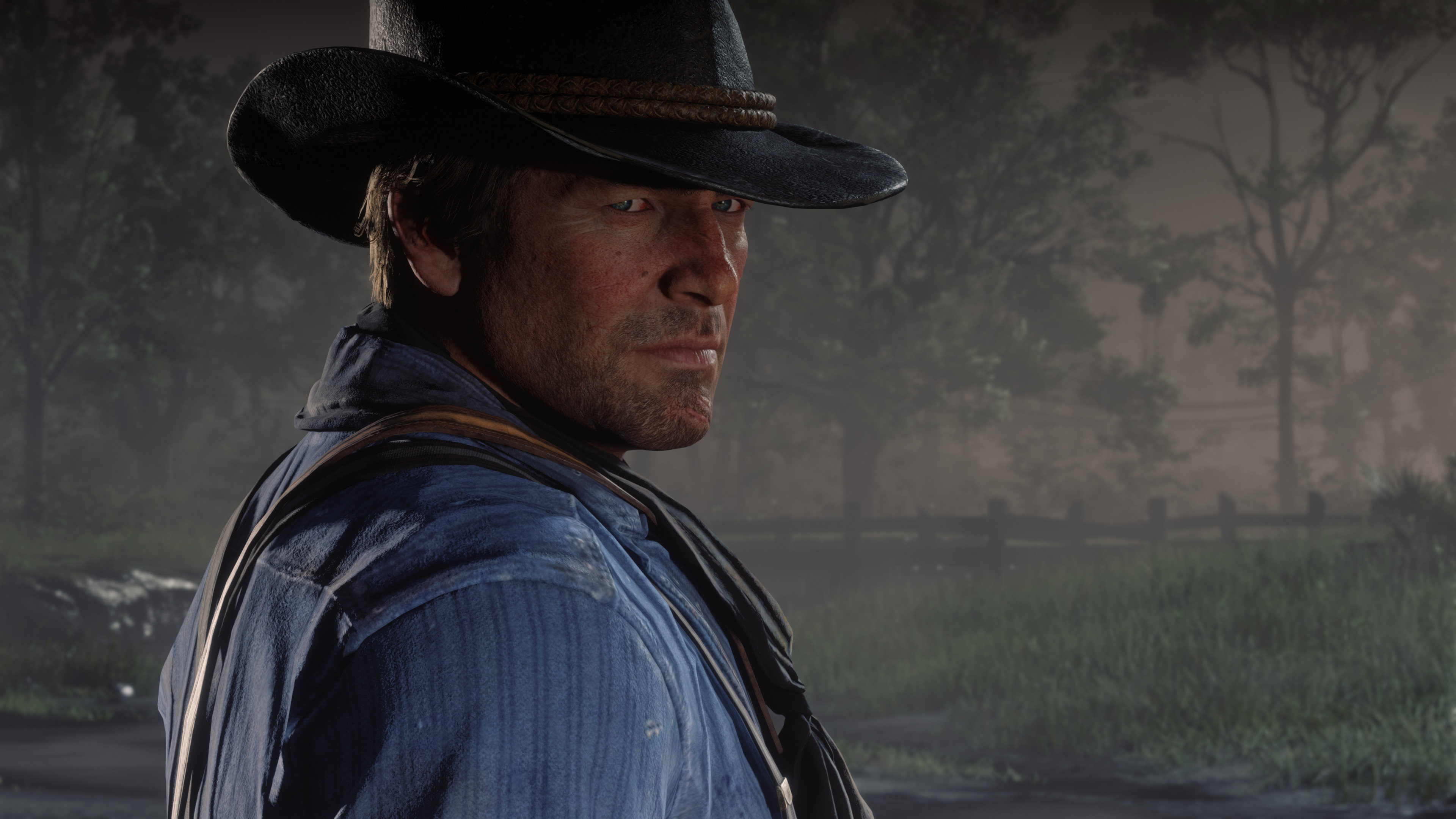 Download Arthur Video Game Red Dead Redemption 2 4k Ultra HD