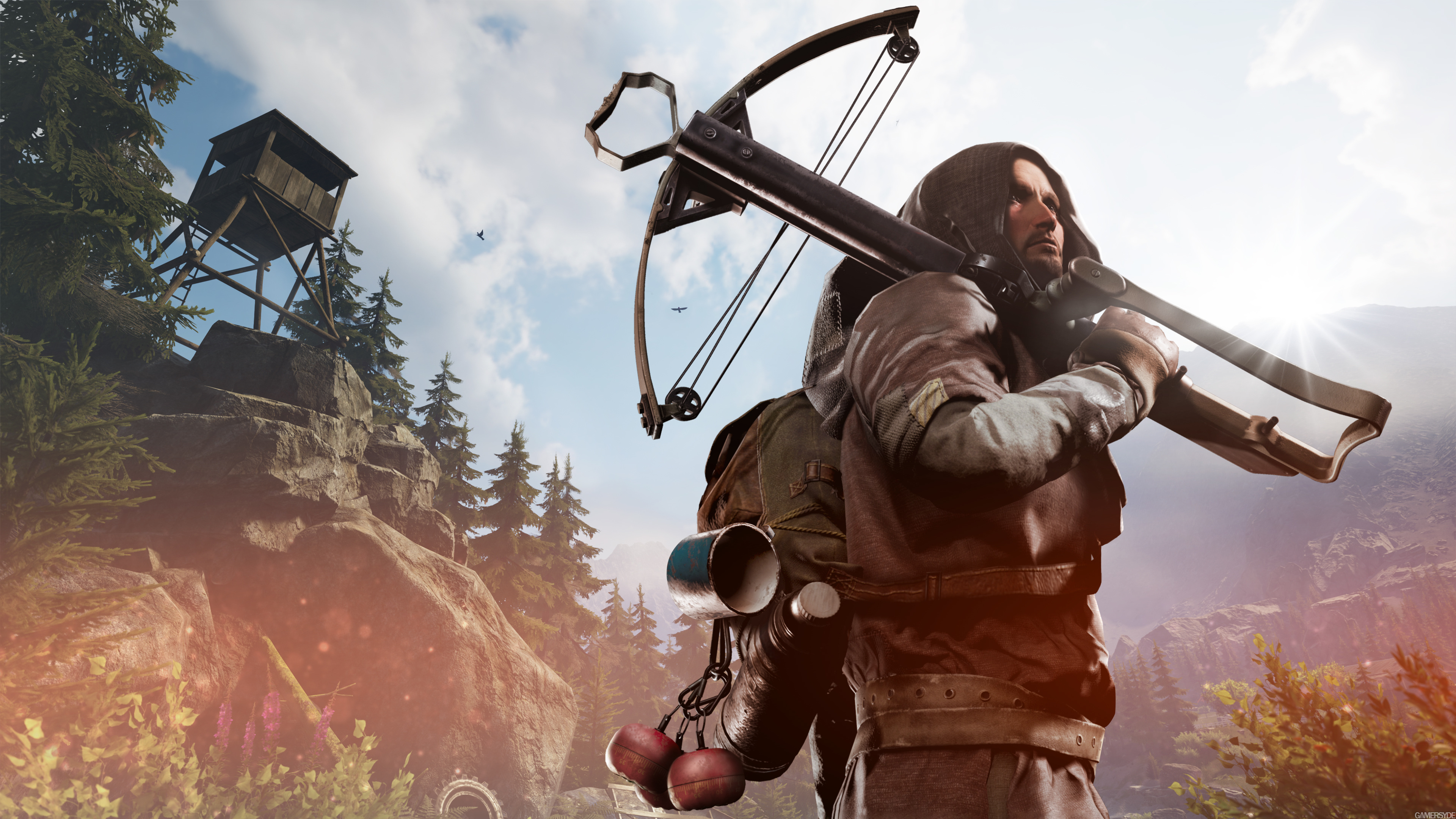 Vigor 4k Ultra HD Wallpaper Background Image 3840x2160 ID1070047