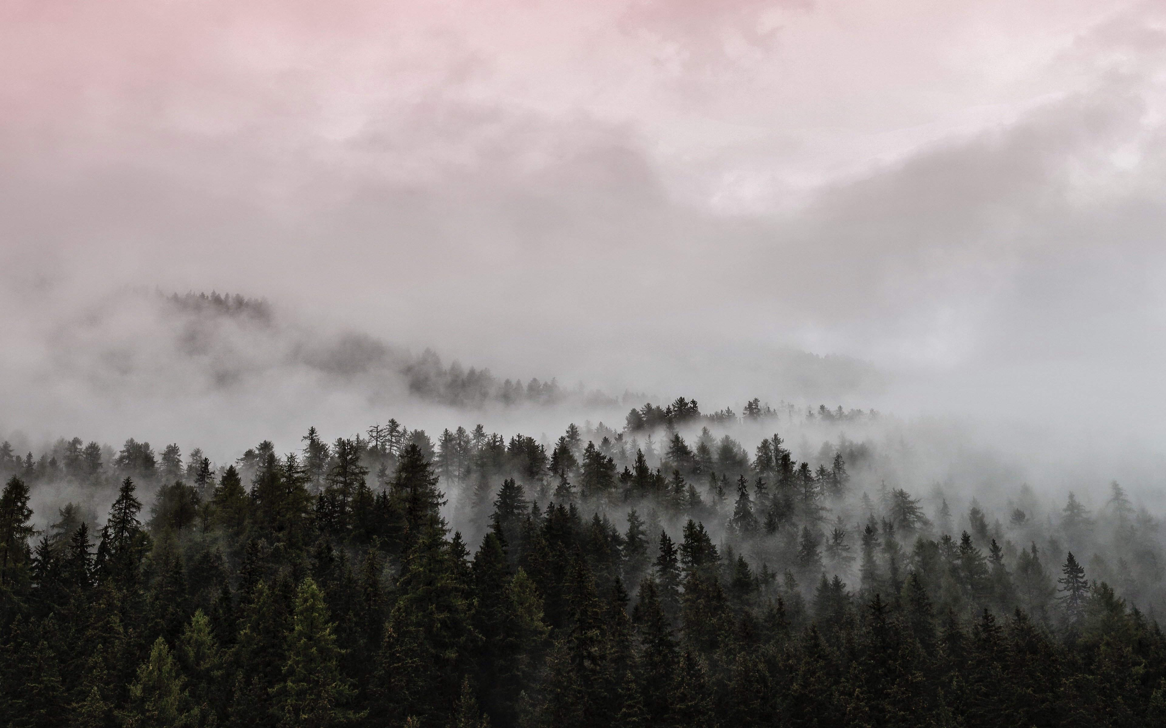 Nebel 4k Ultra HD Wallpaper Hintergrund 3840x2400