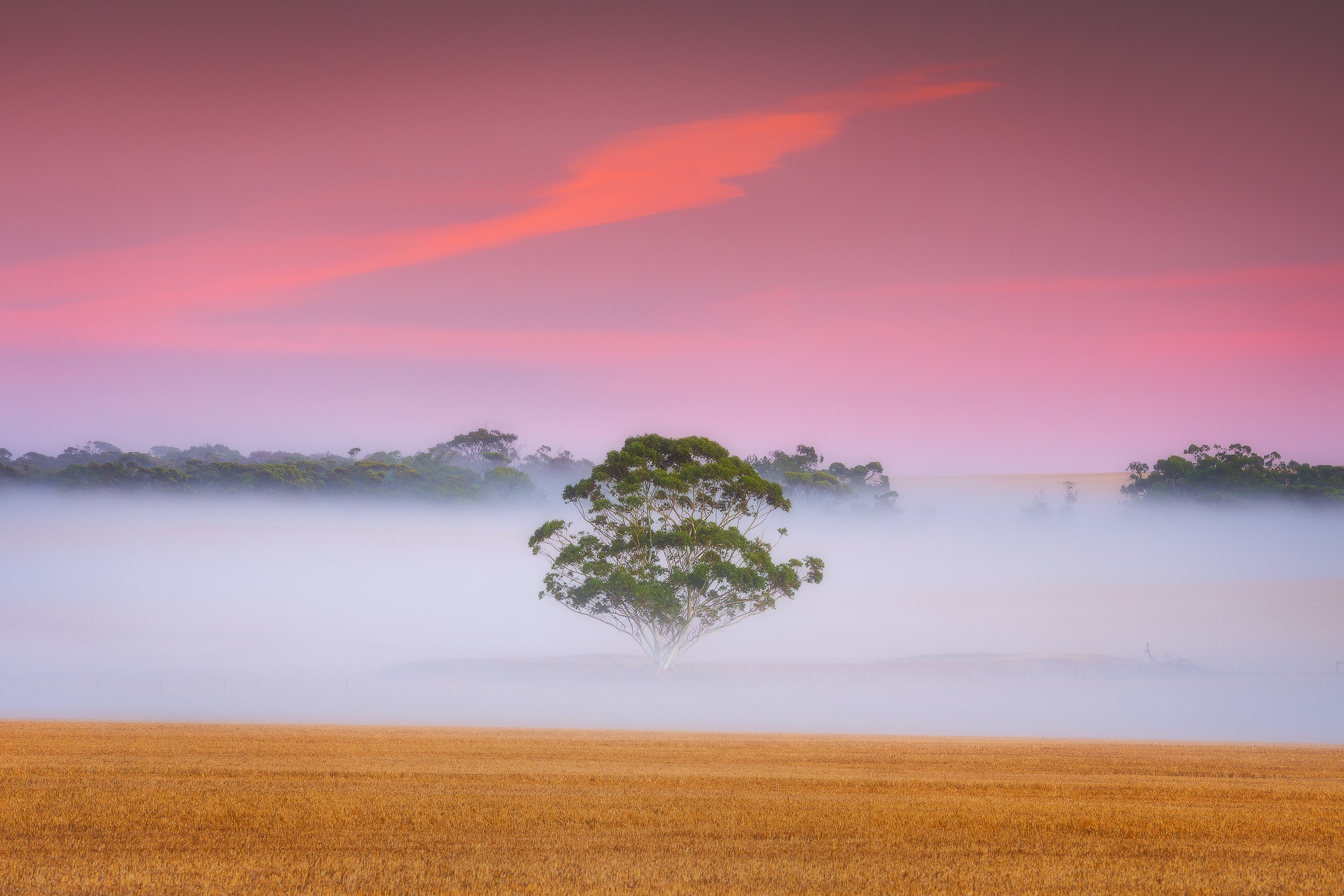 Nebel HD Wallpaper Hintergrund 2048x1366