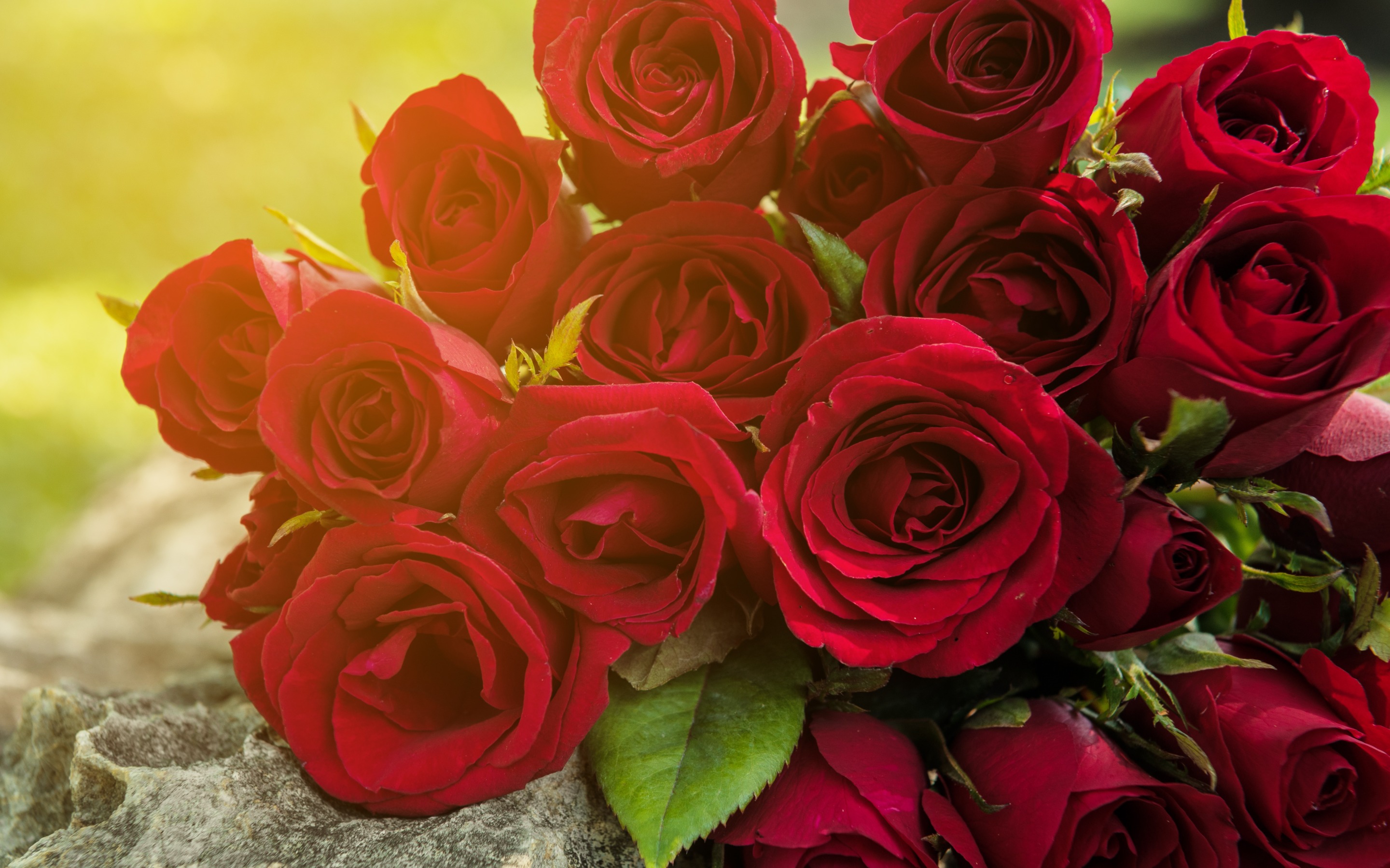 Download Bouquet Flower Nature Rose HD Wallpaper