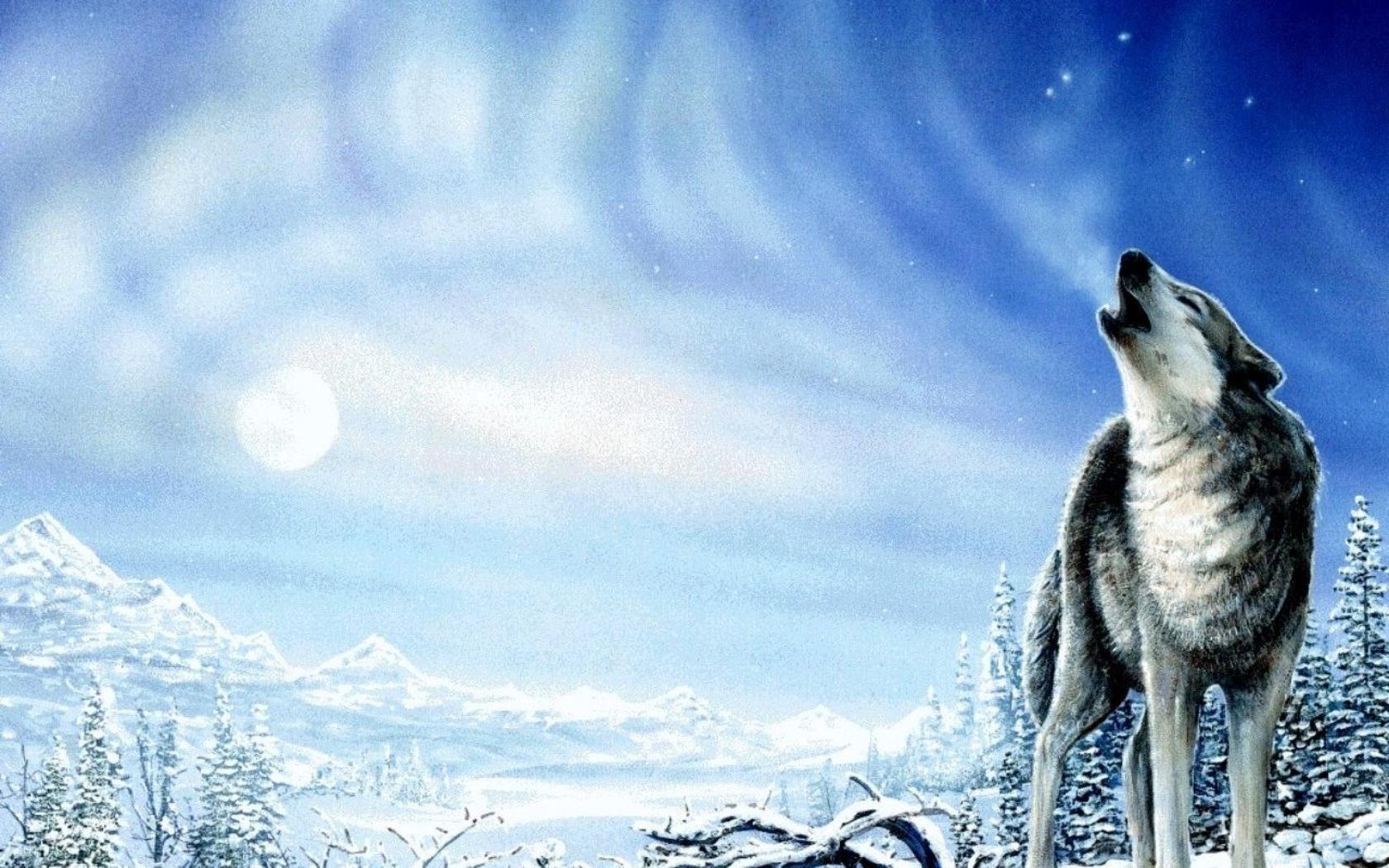 Solo Hunter Computer Wallpapers, Desktop Backgrounds 1680x1050 ID