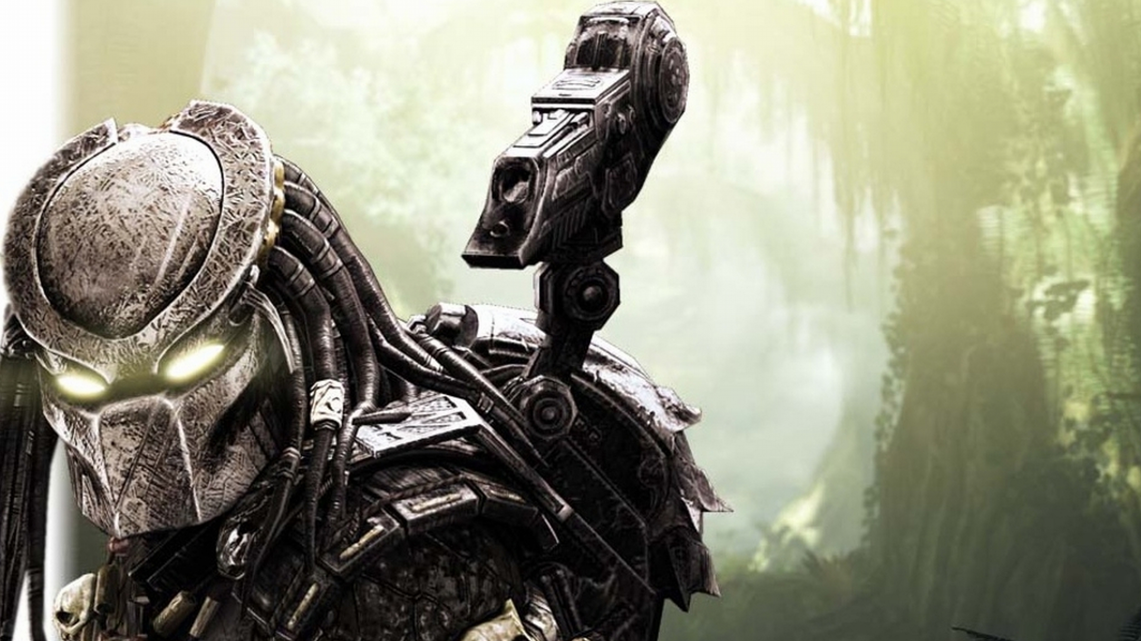 Predator 4k Ultra HD Wallpaper Background Image