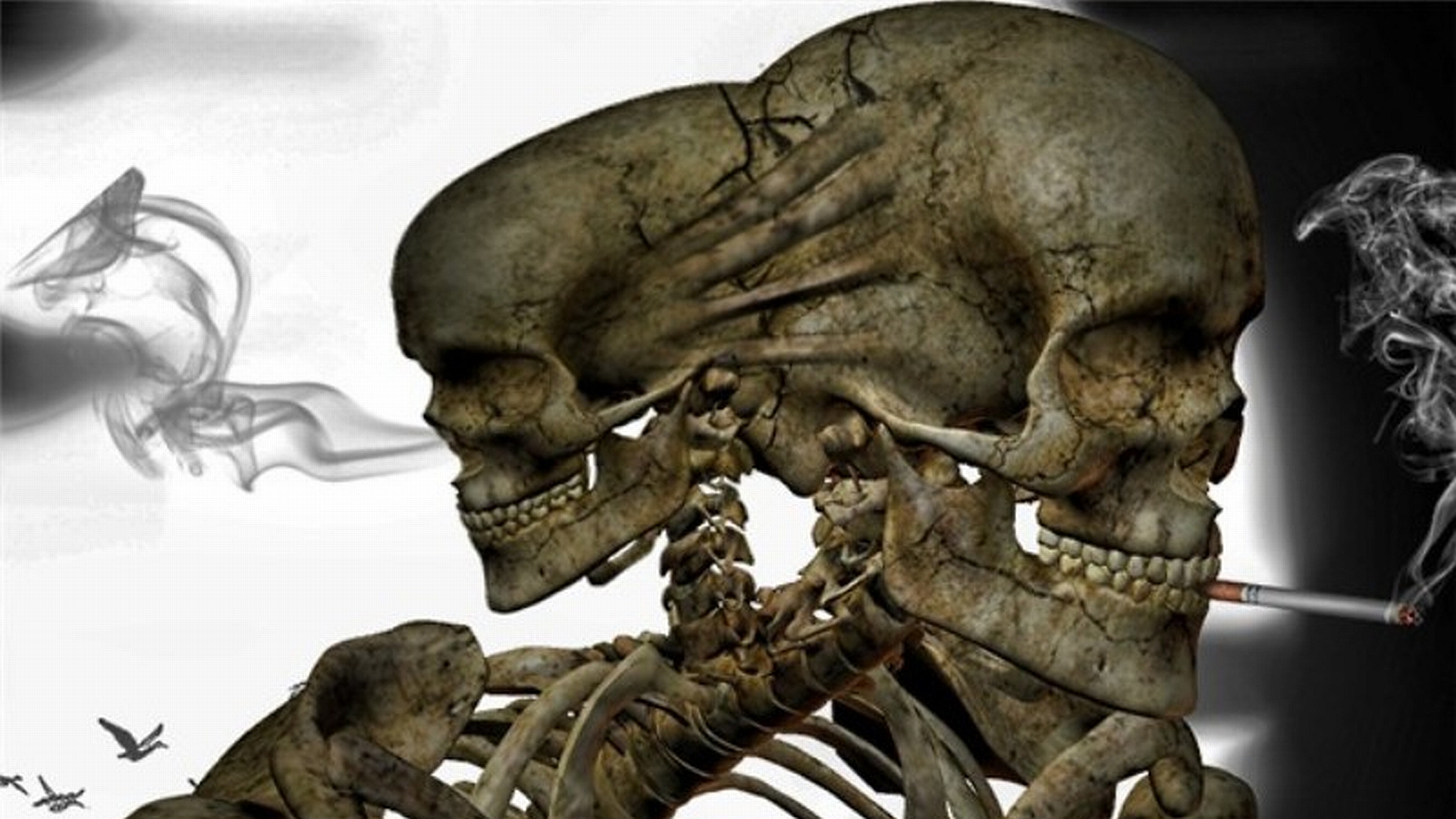 Skeleton Full HD Wallpaper and Background Image 1920x1080 ID163253