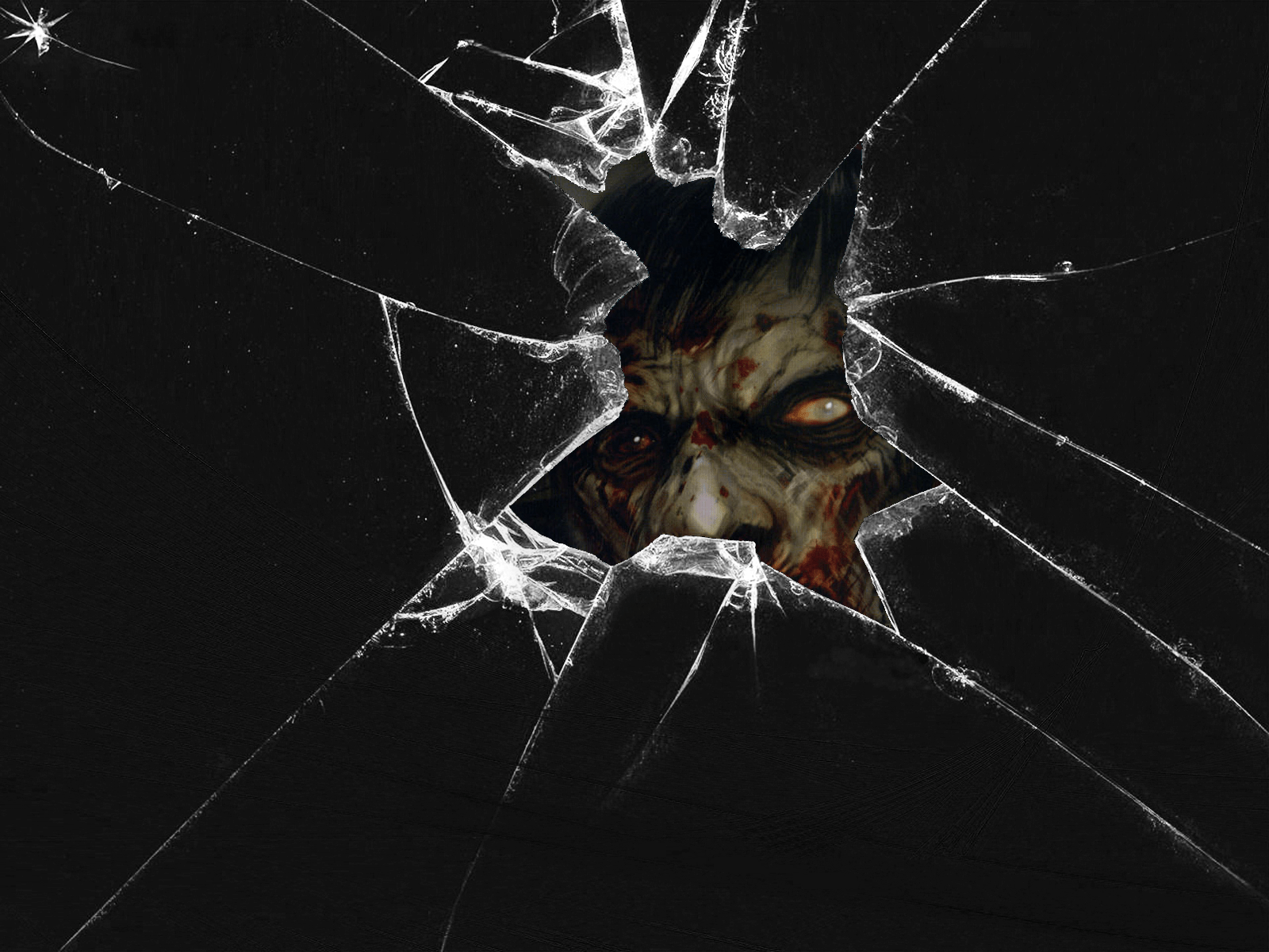 Zombie Wallpaper and Background Image 1600x1200 ID309471