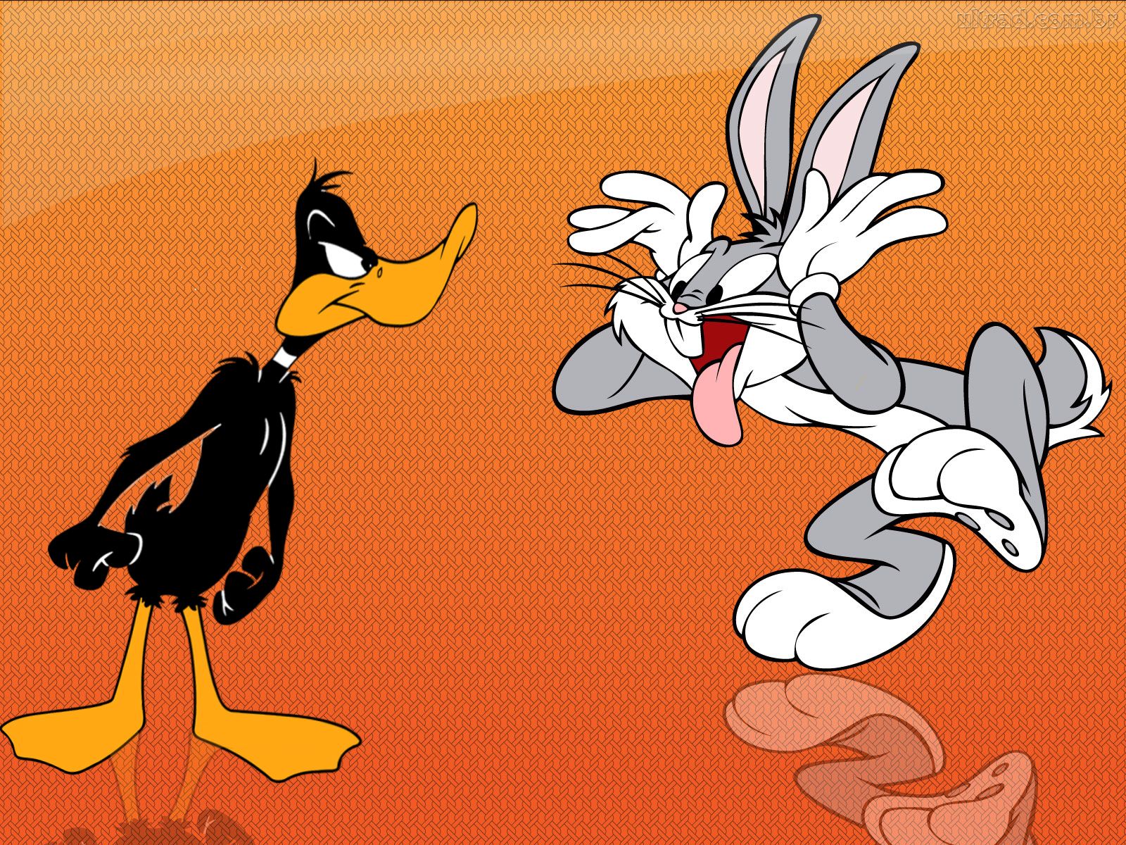 daffy duck Wallpaper and Background Image 1600x1200 ID439232