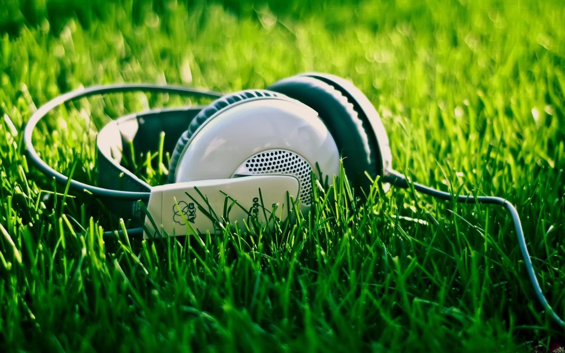 Headphones HD Wallpaper Background Image 1920x1200 ID466492