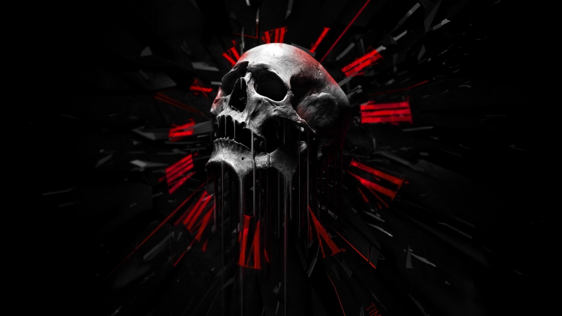 Skull HD Wallpaper Background Image 1920x1080 ID490268
