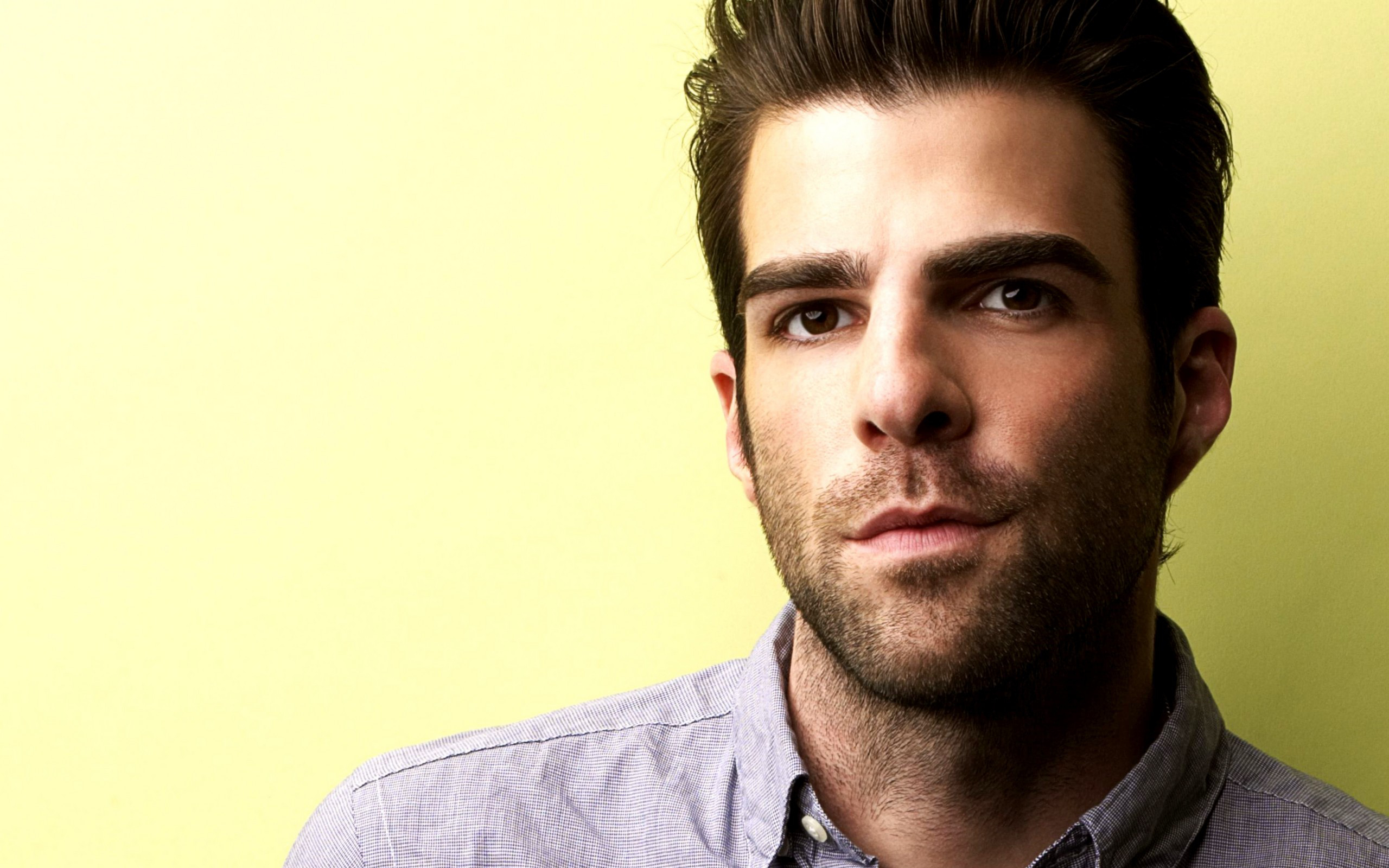 Download American Actor Celebrity Zachary Quinto HD Wallpaper