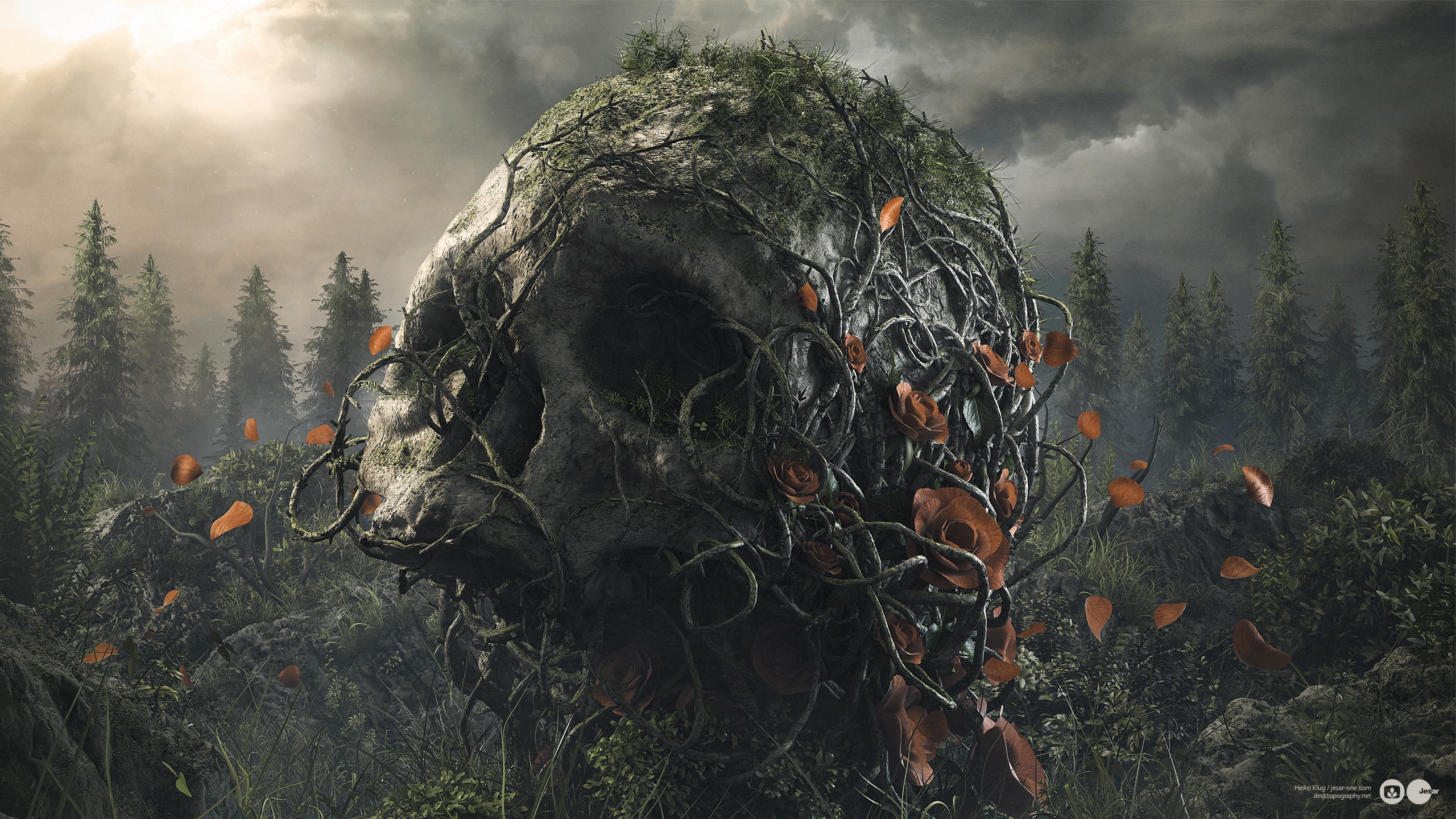 Graveflower Full HD Wallpaper and Background Image 2560x1440 ID546353