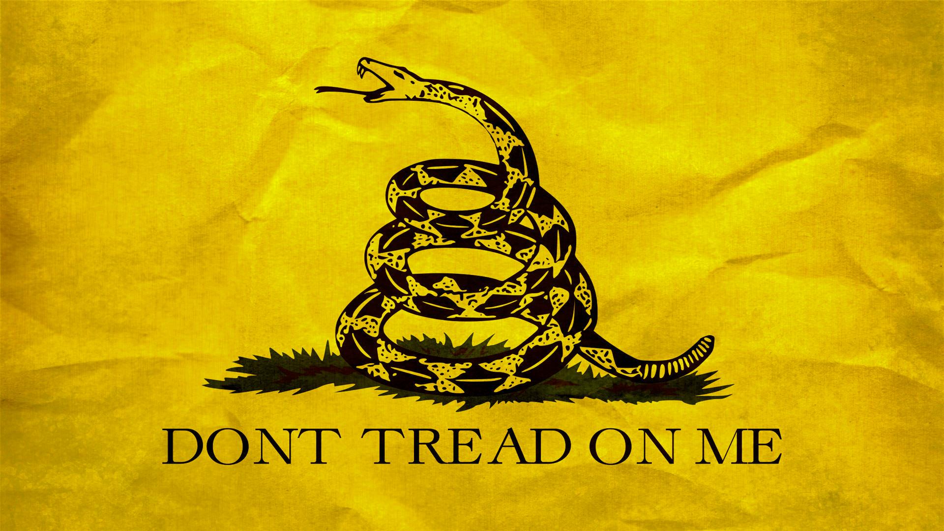 Gadsden Flag HD Wallpaper Background Image 1920x1080