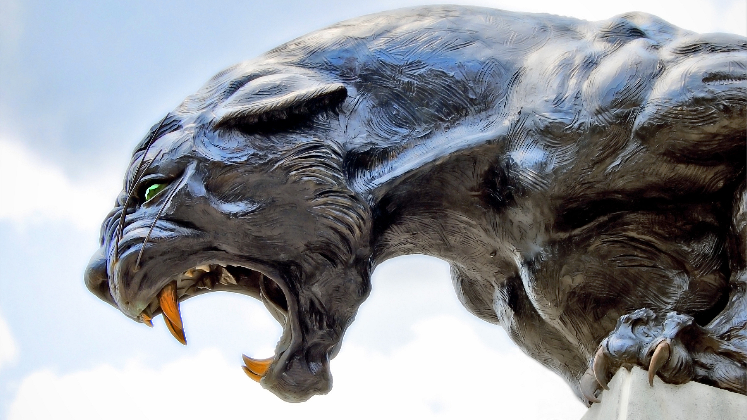 Black Panther Full HD Wallpaper and Background Image