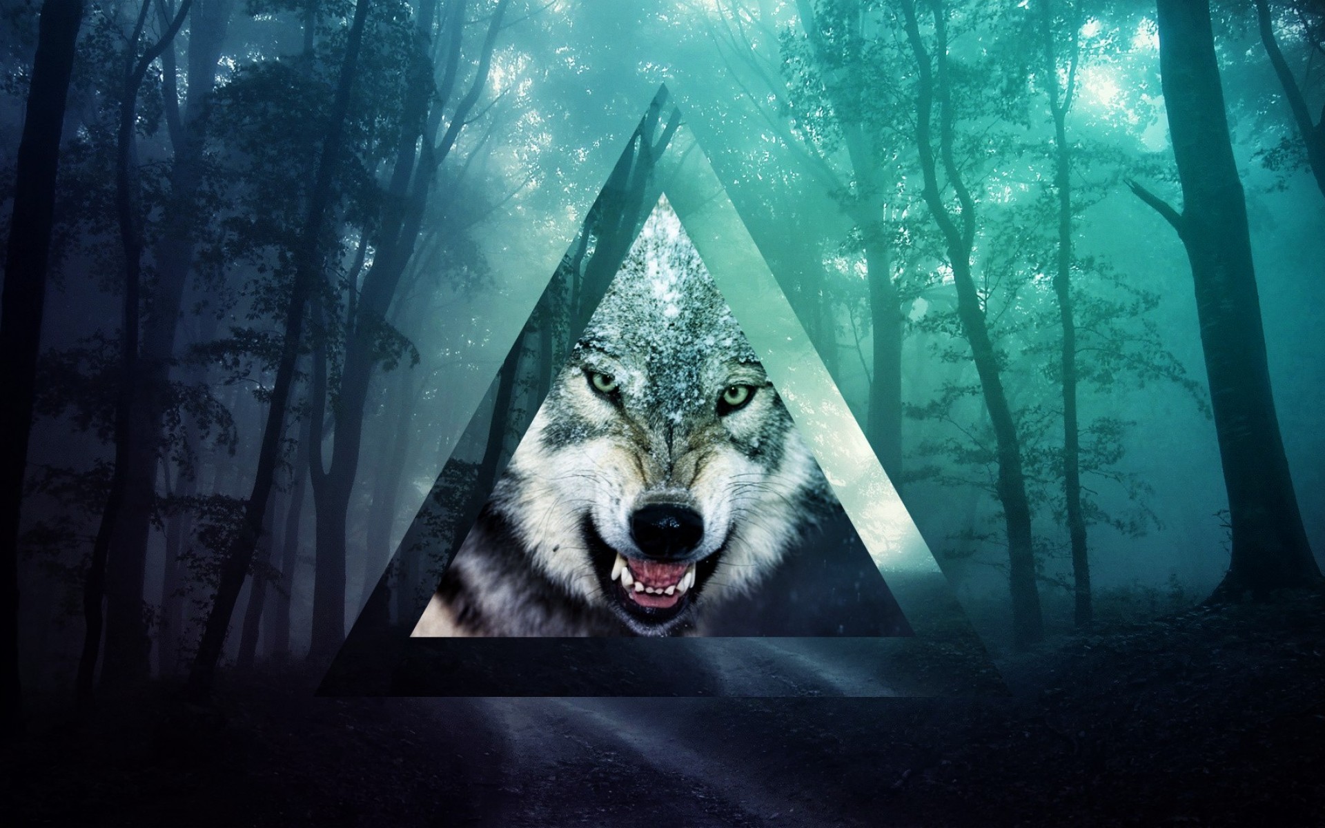 Lobo Fondo de pantalla HD Fondo de Escritorio
