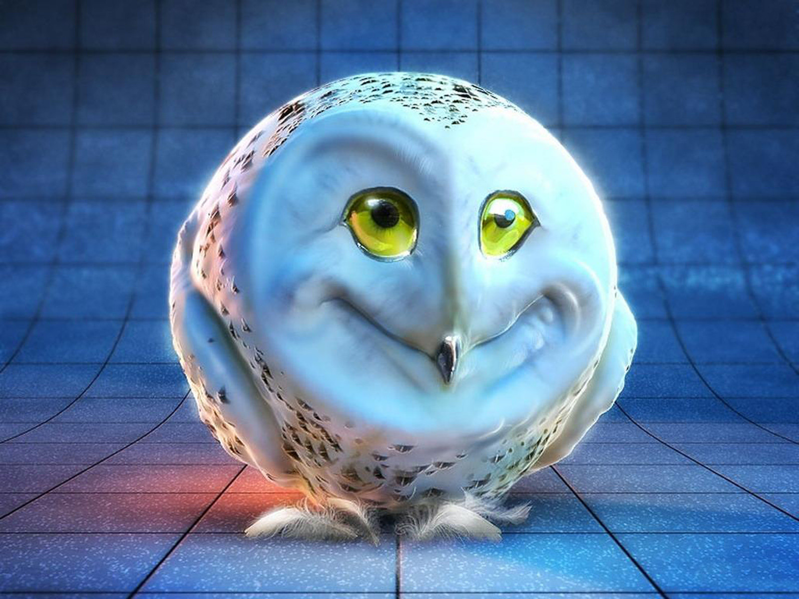 Download Weird Bird Owl Funny Animal Wallpaper