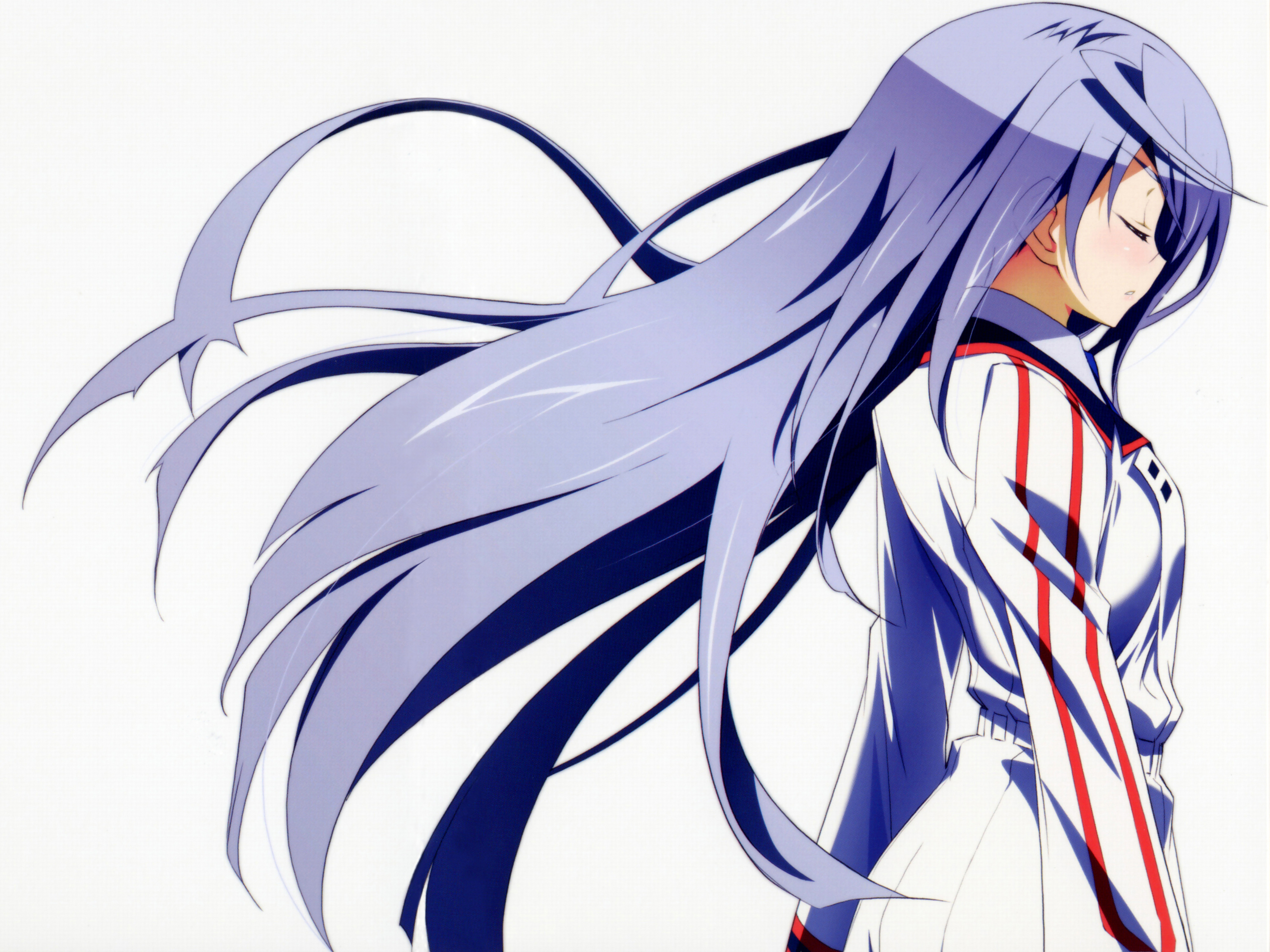 Infinite Stratos 4k Ultra HD Wallpaper Background Image