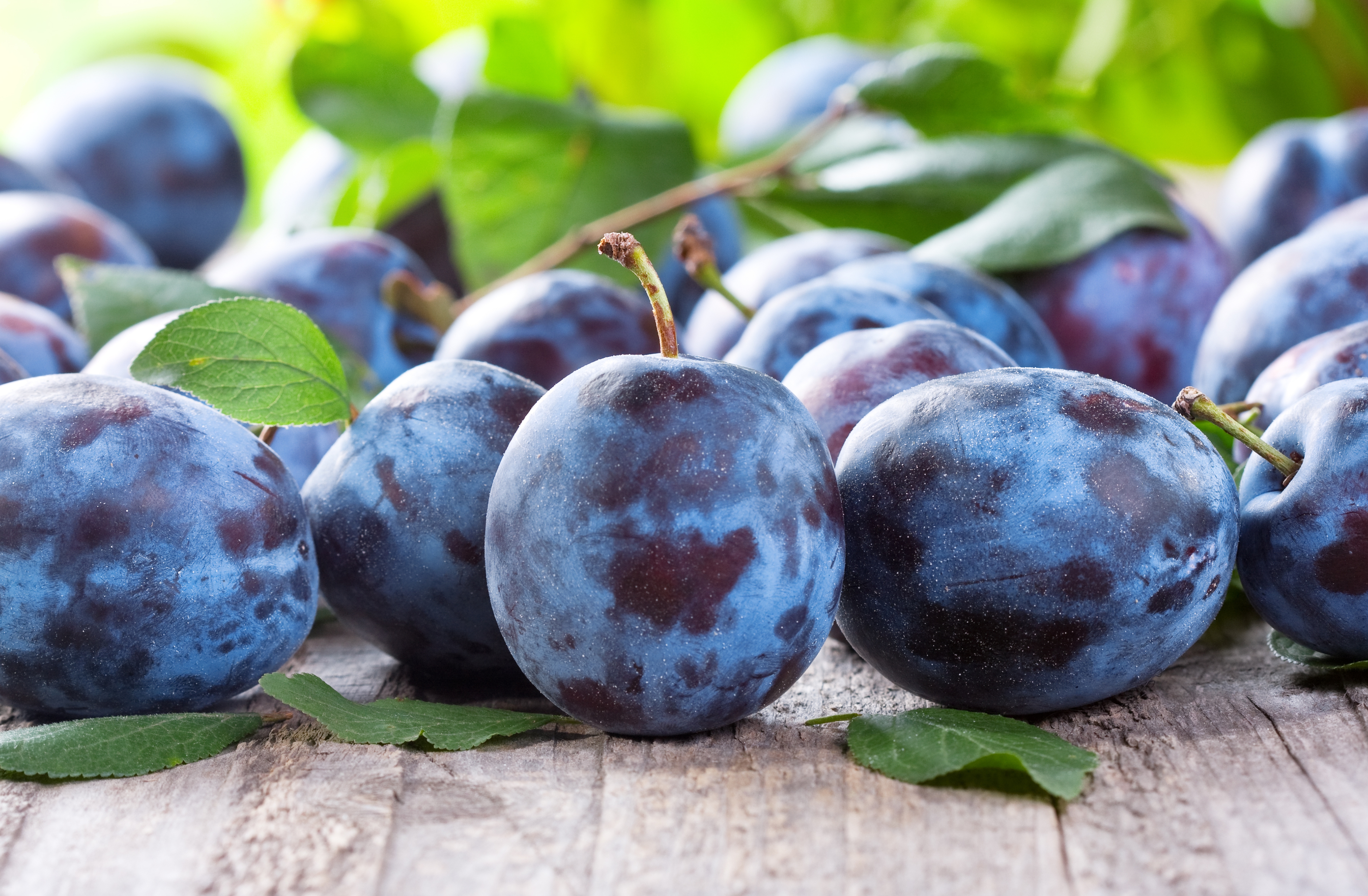 Plum 5k Retina Ultra HD Wallpaper Background Image