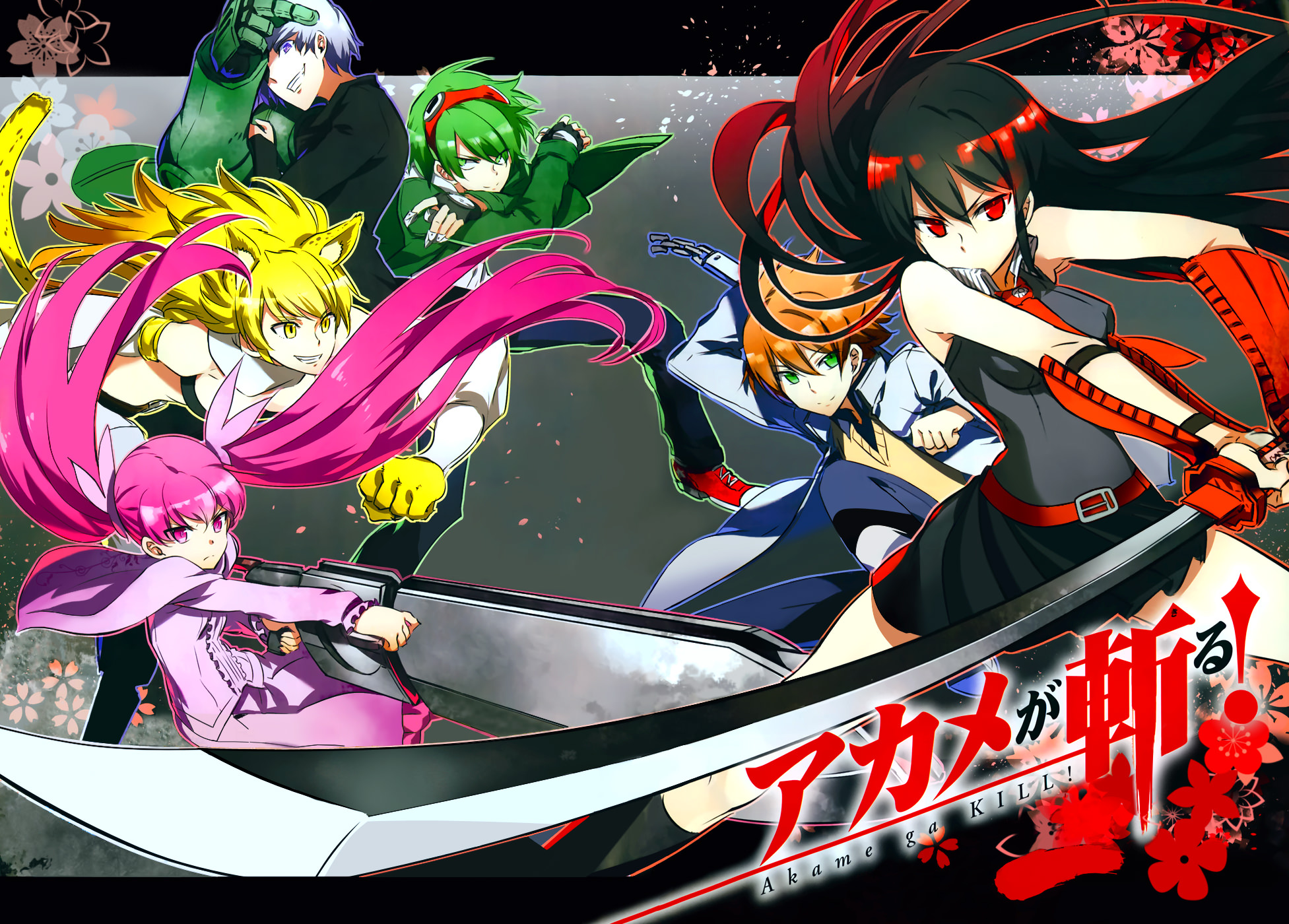 Akame Ga Kill! HD Wallpaper Background Image 1953x1400